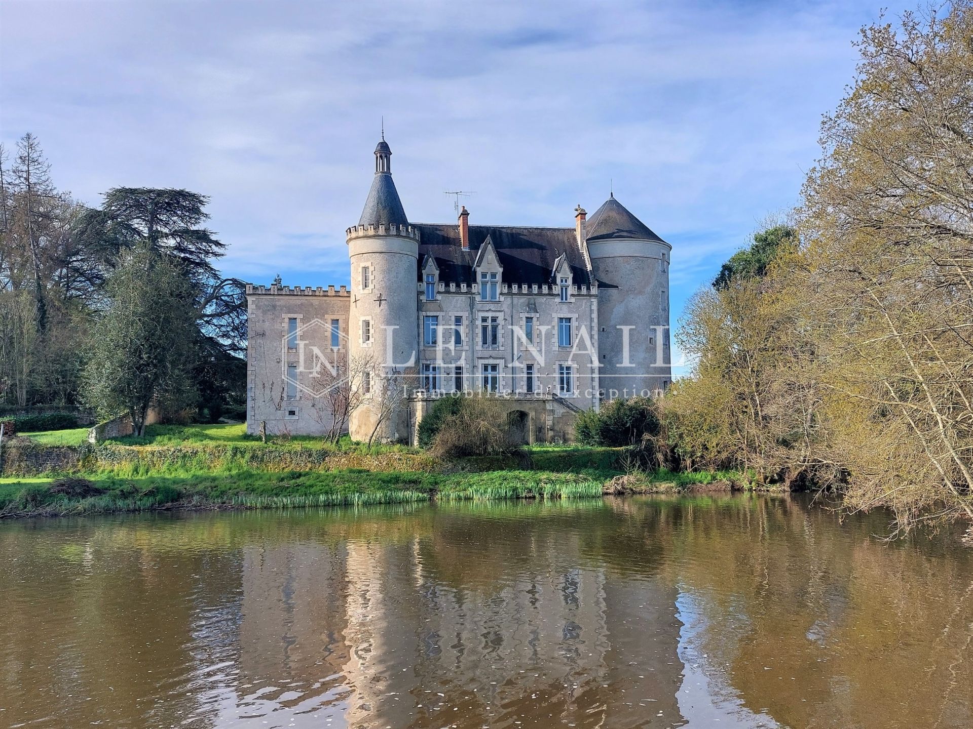 castle 13 rooms for sale on LE BLANC (36300)