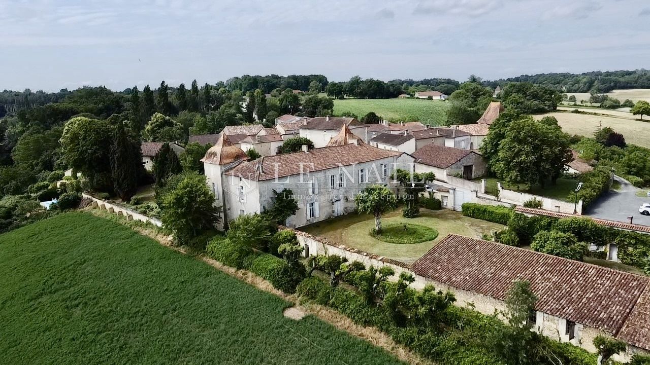 castle 10 rooms for sale on RIBERAC (24600)