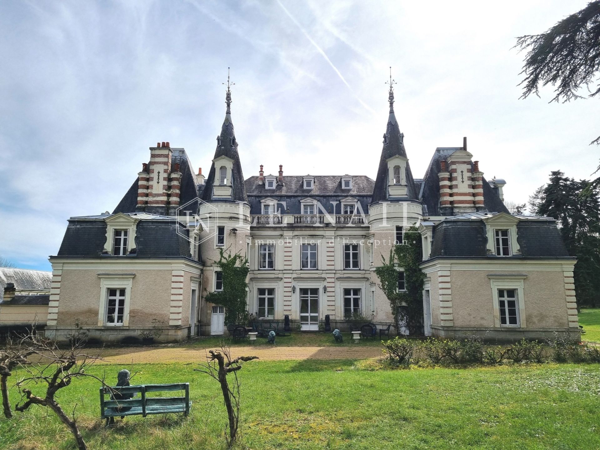 castle 20 rooms for sale on TOURS (37000)