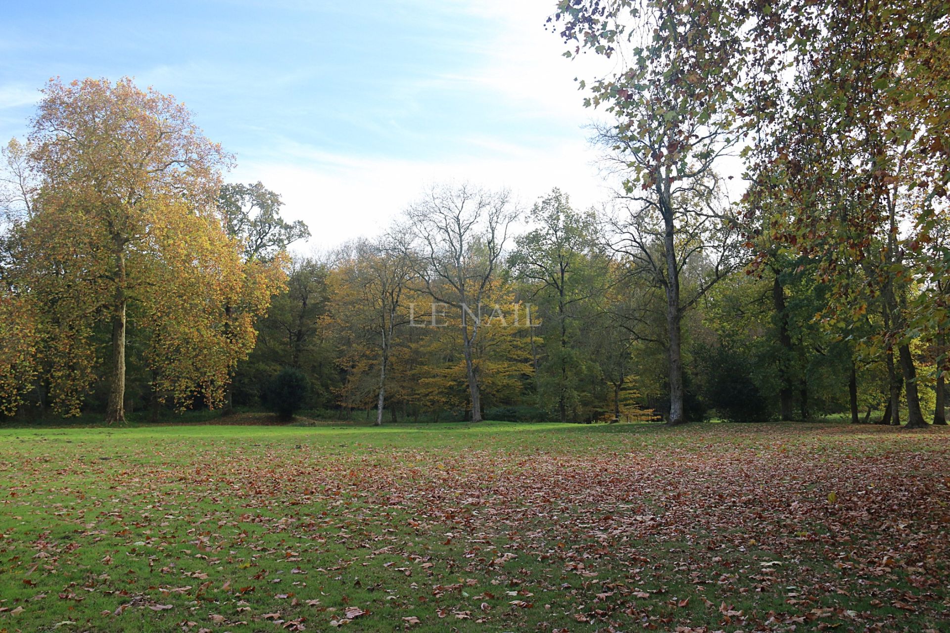 château 30 pièces en vente à LA ROCHE SUR YON (85000)