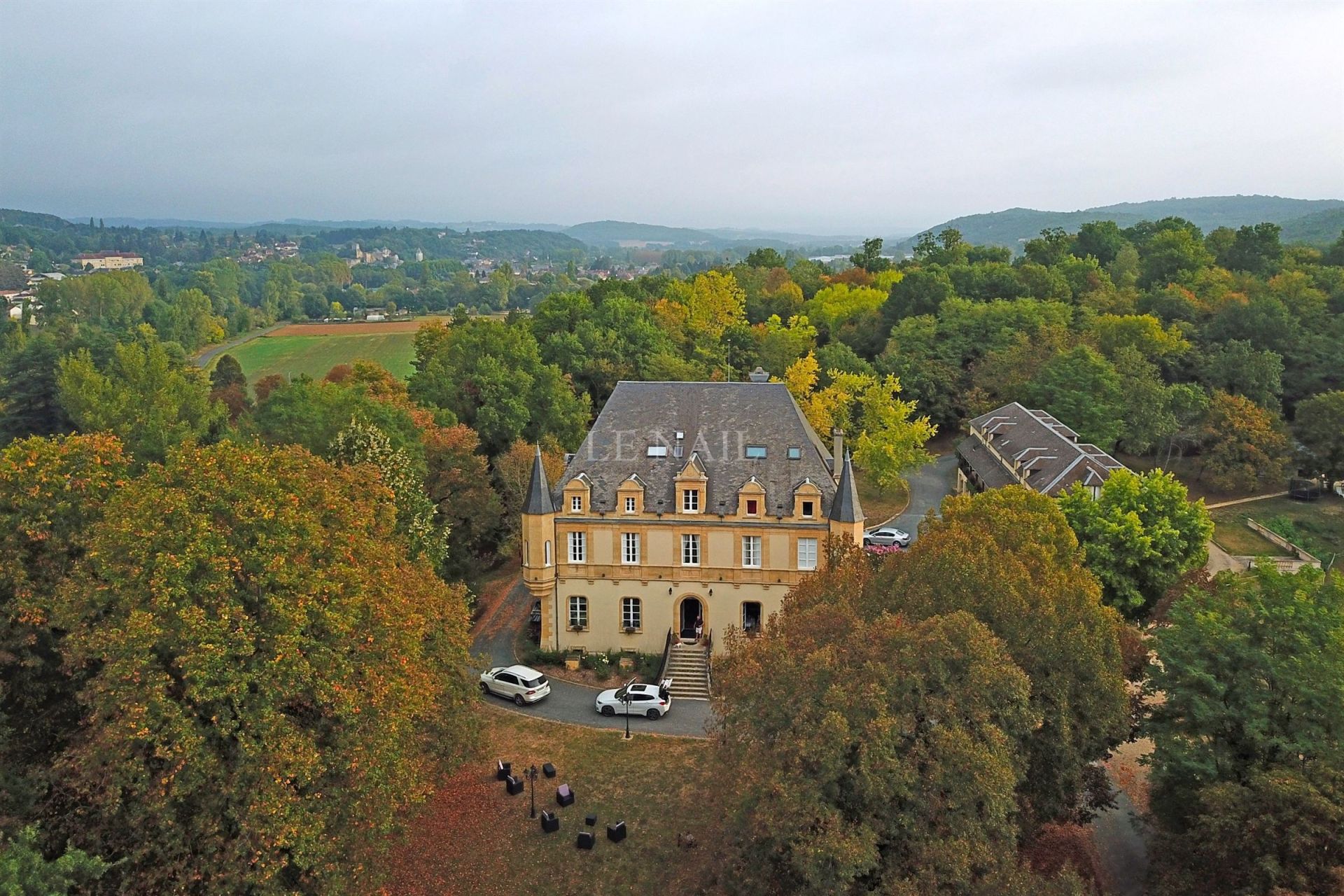 castle 30 rooms for sale on MONTIGNAC (24290)