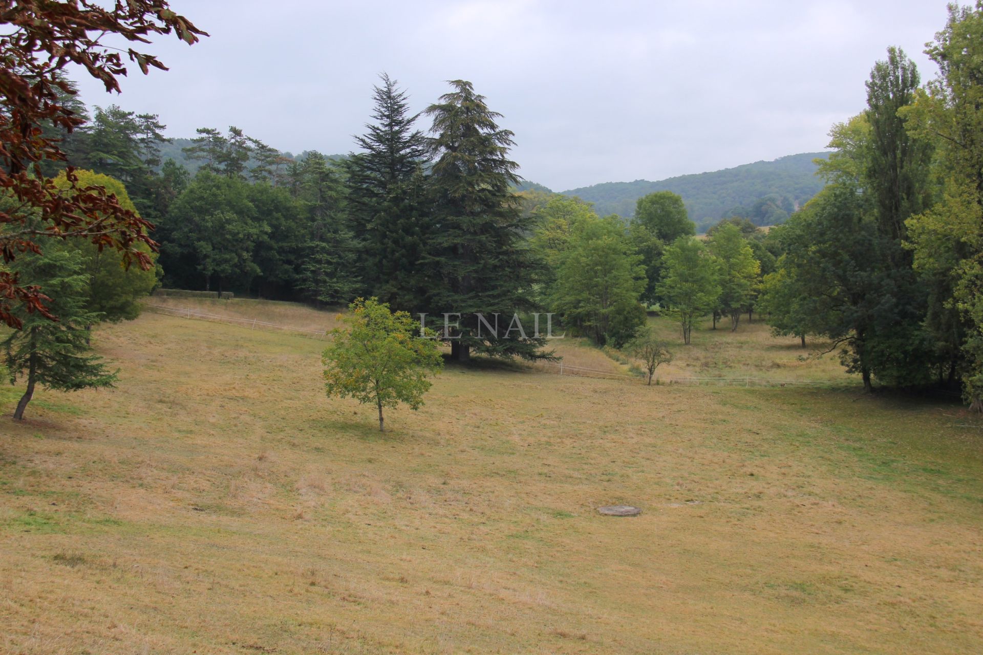 château 30 pièces en vente à MONTIGNAC (24290)