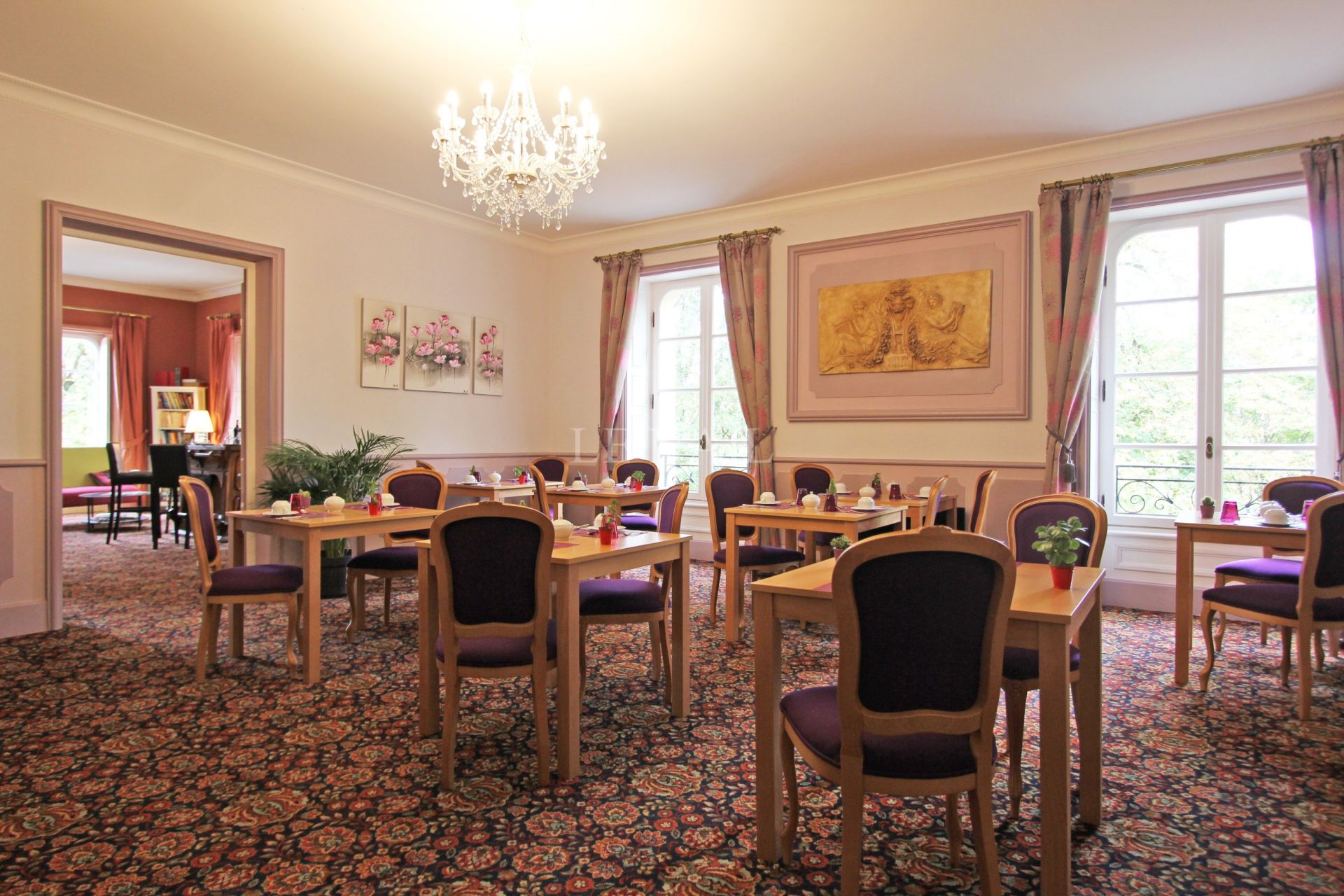 château 30 pièces en vente à MONTIGNAC (24290)