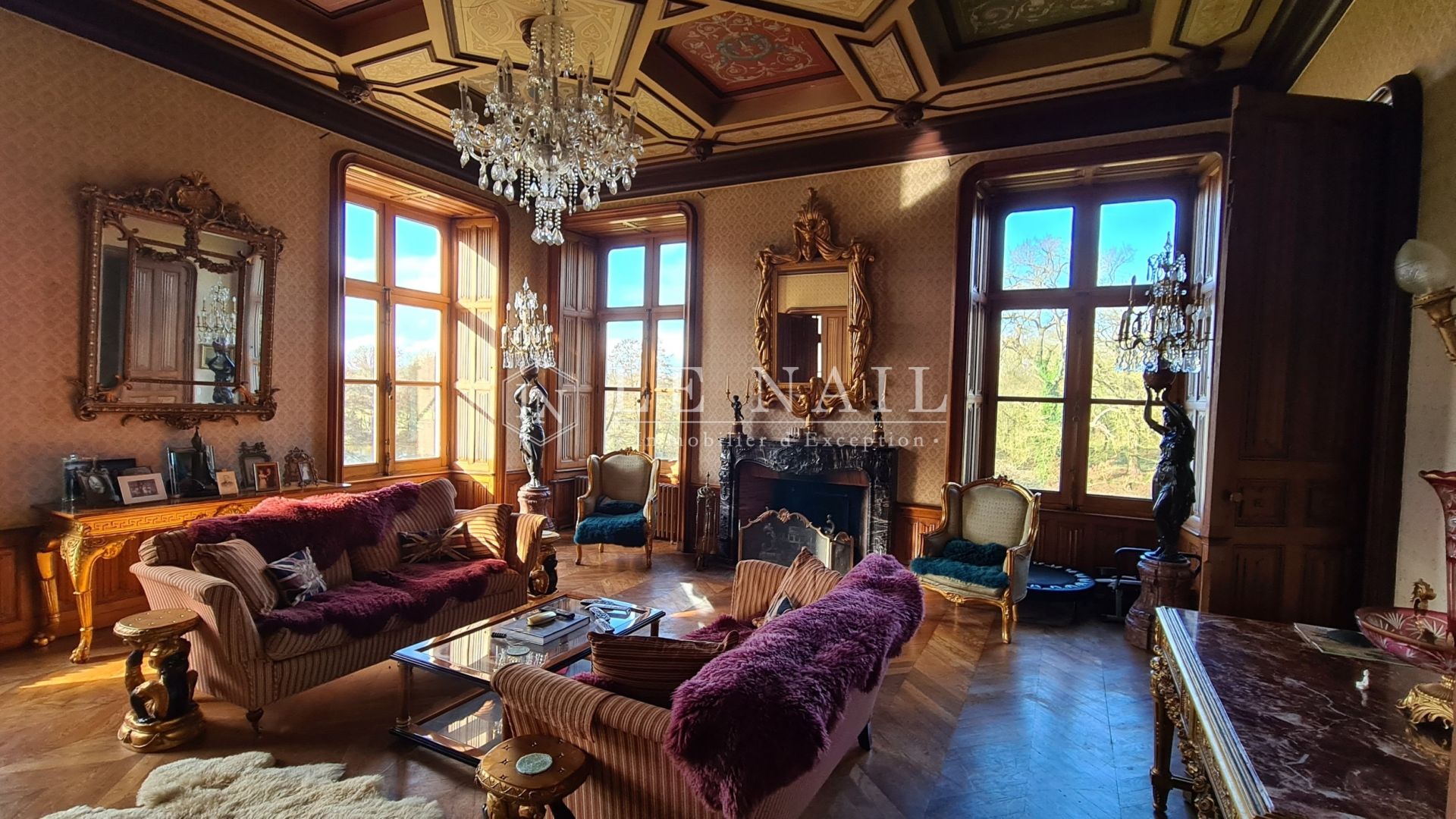 château 15 pièces en vente à CHATEAU GONTIER (53200)