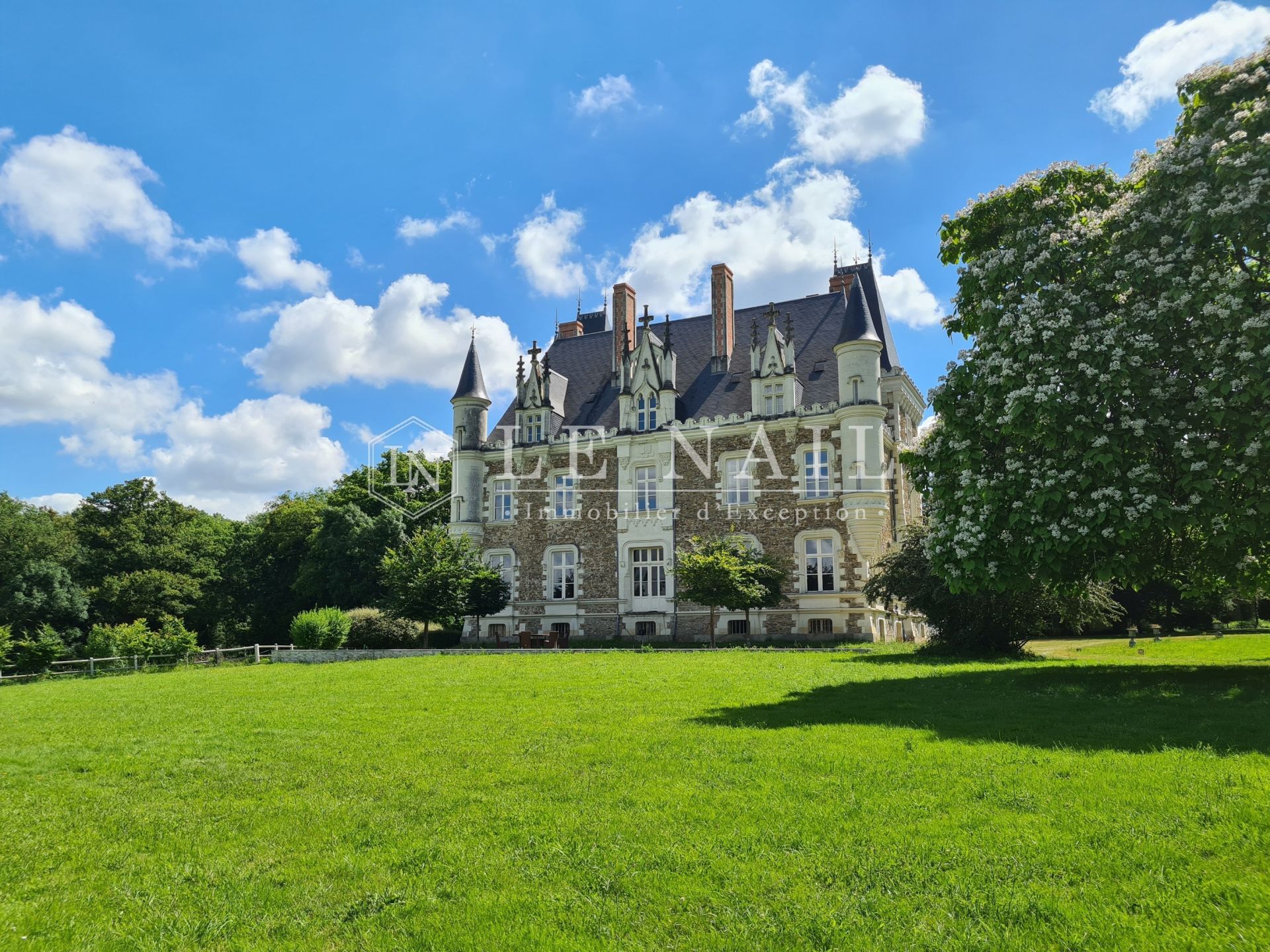 château 15 pièces en vente à CHATEAU GONTIER (53200)