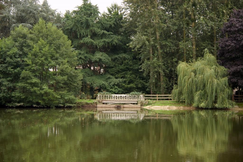 château 15 pièces en vente à CHATEAU GONTIER (53200)