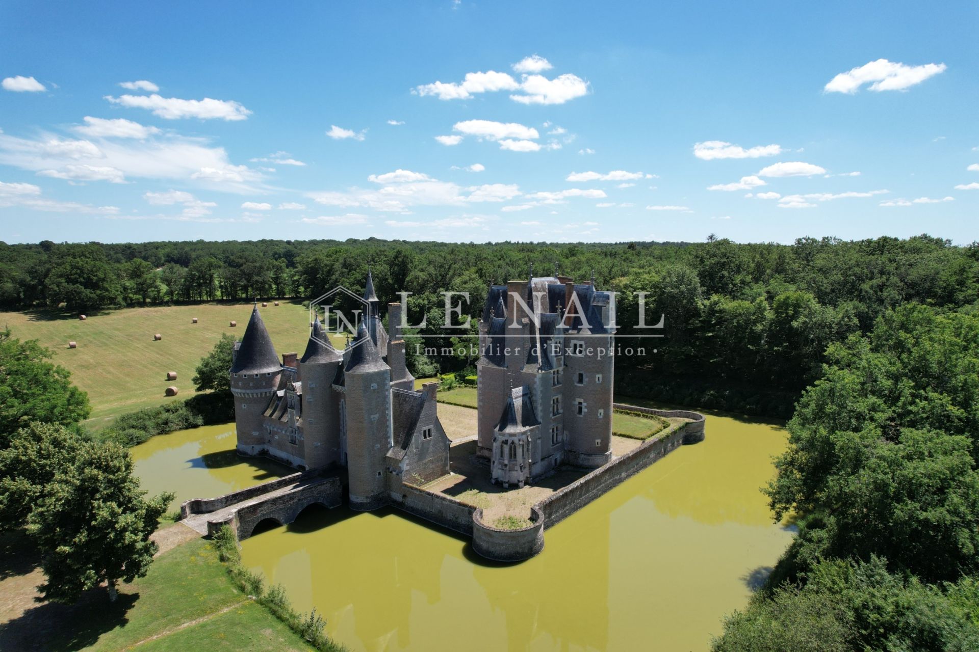 château 18 pièces en vente à ROMORANTIN LANTHENAY (41200)