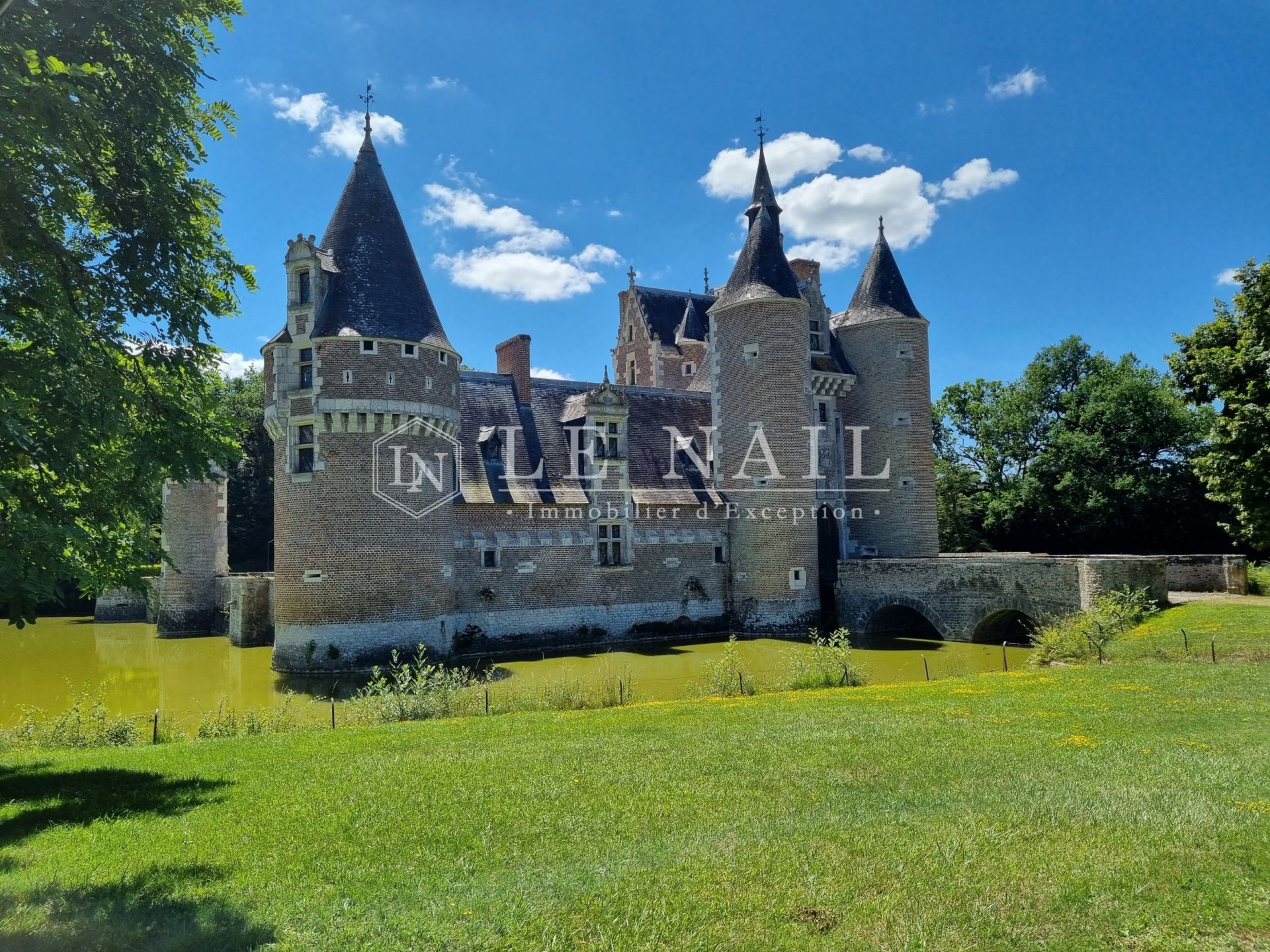 château 18 pièces en vente à ROMORANTIN LANTHENAY (41200)