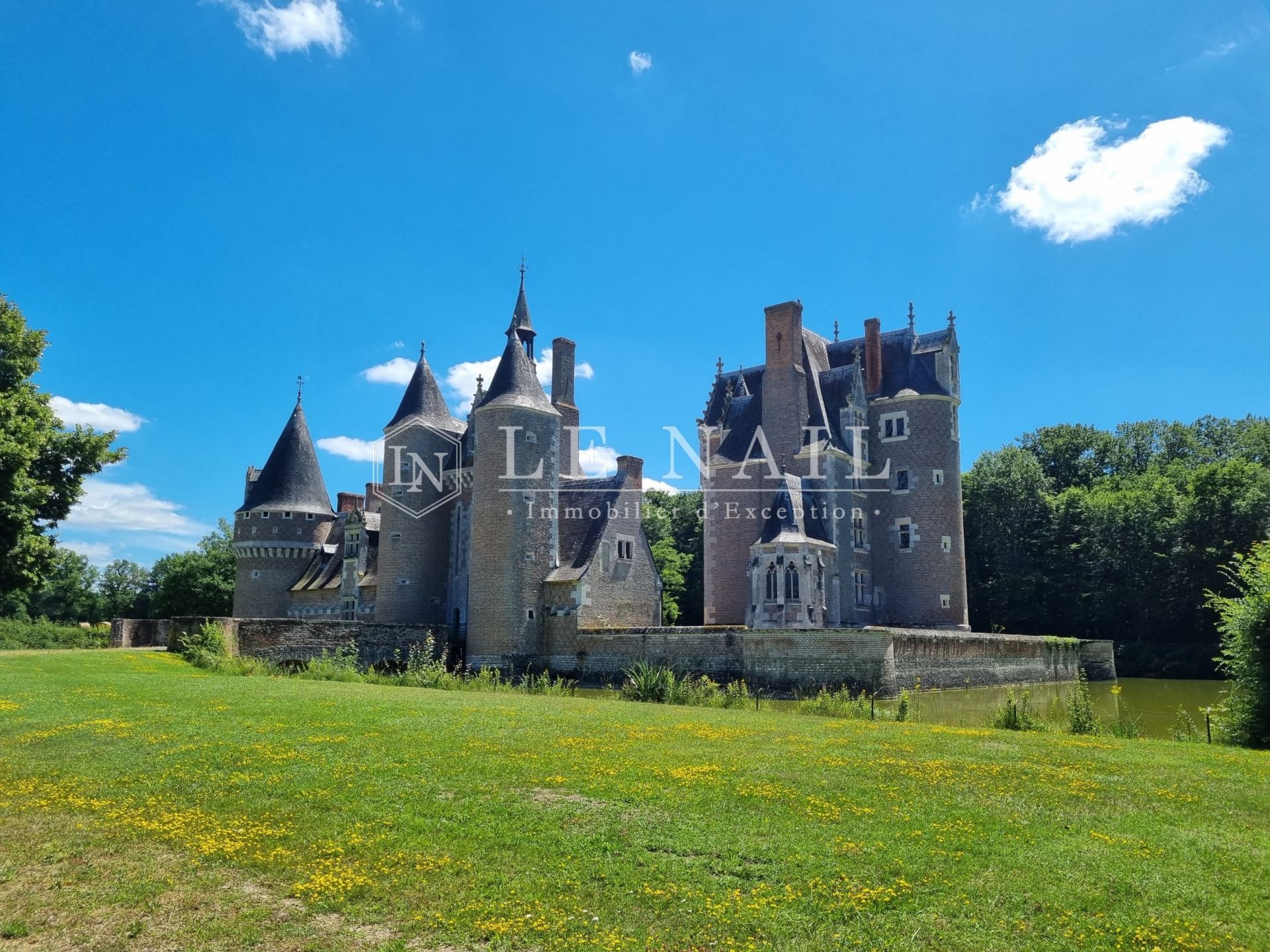 château 18 pièces en vente à ROMORANTIN LANTHENAY (41200)