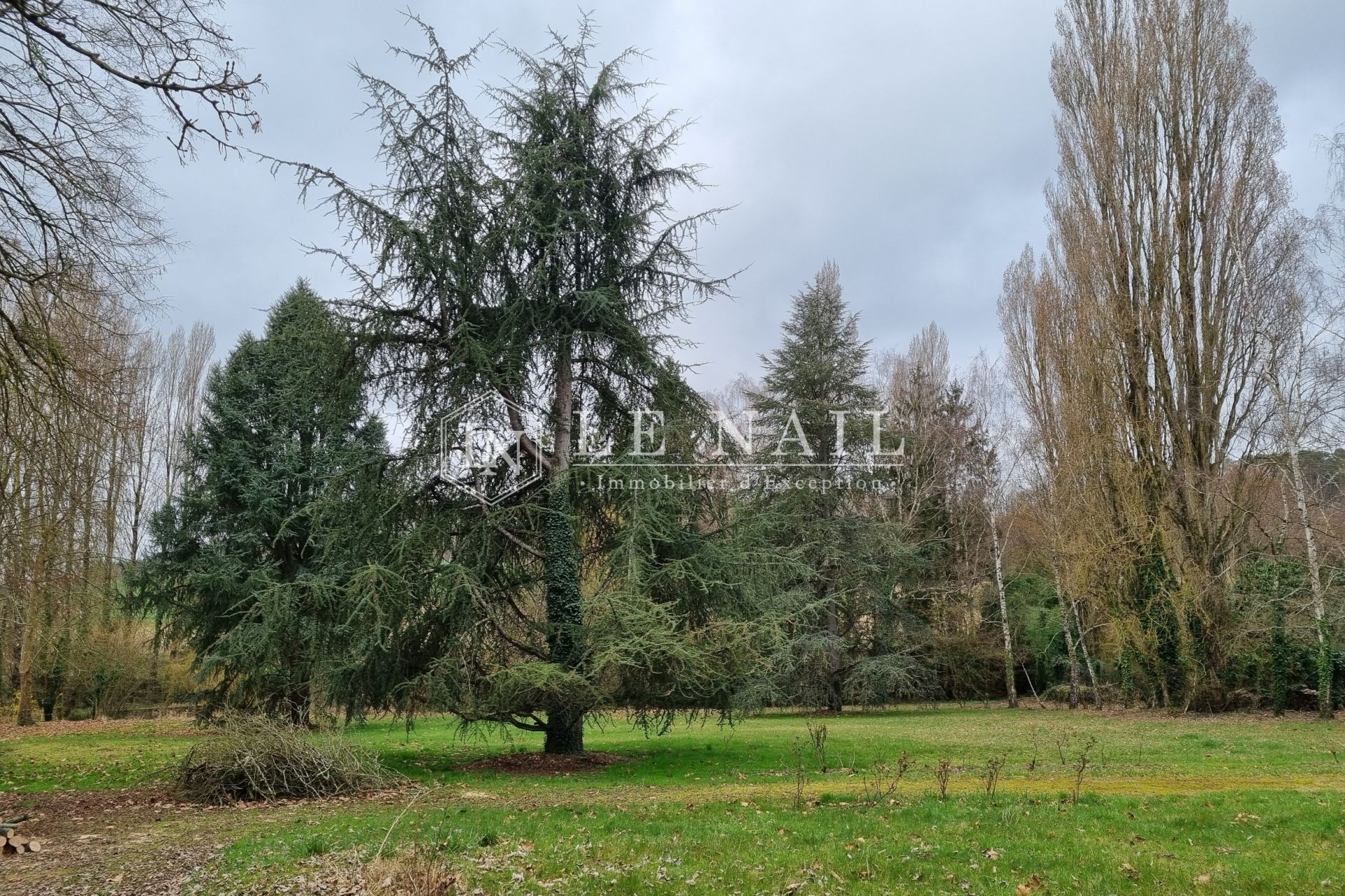 mansion 12 rooms for sale on MONTVAL SUR LOIR (72500)