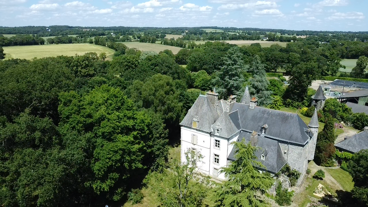 castle 14 rooms for sale on PLOERMEL (56800)
