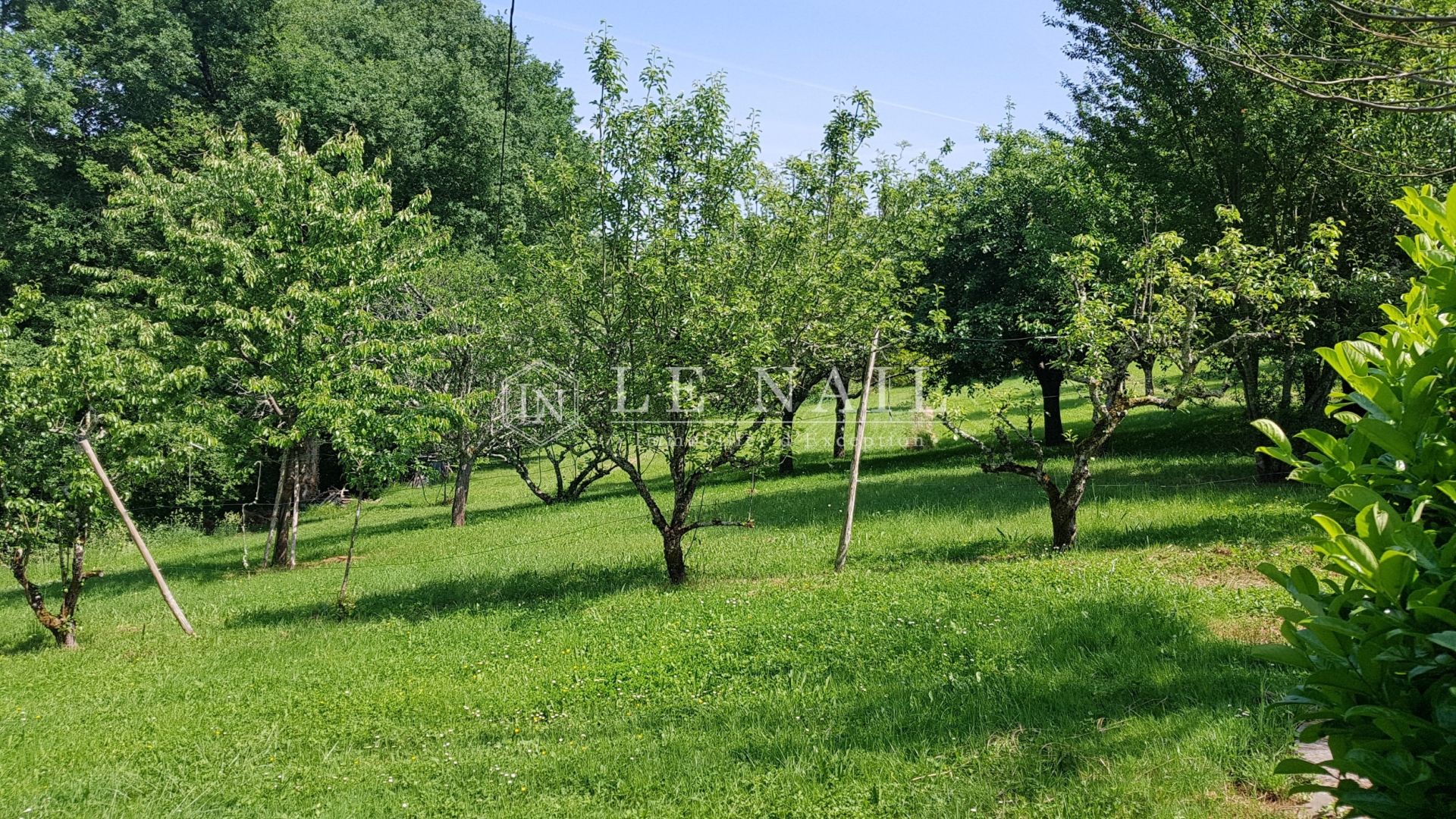manor house 11 rooms for sale on SARLAT LA CANEDA (24200)