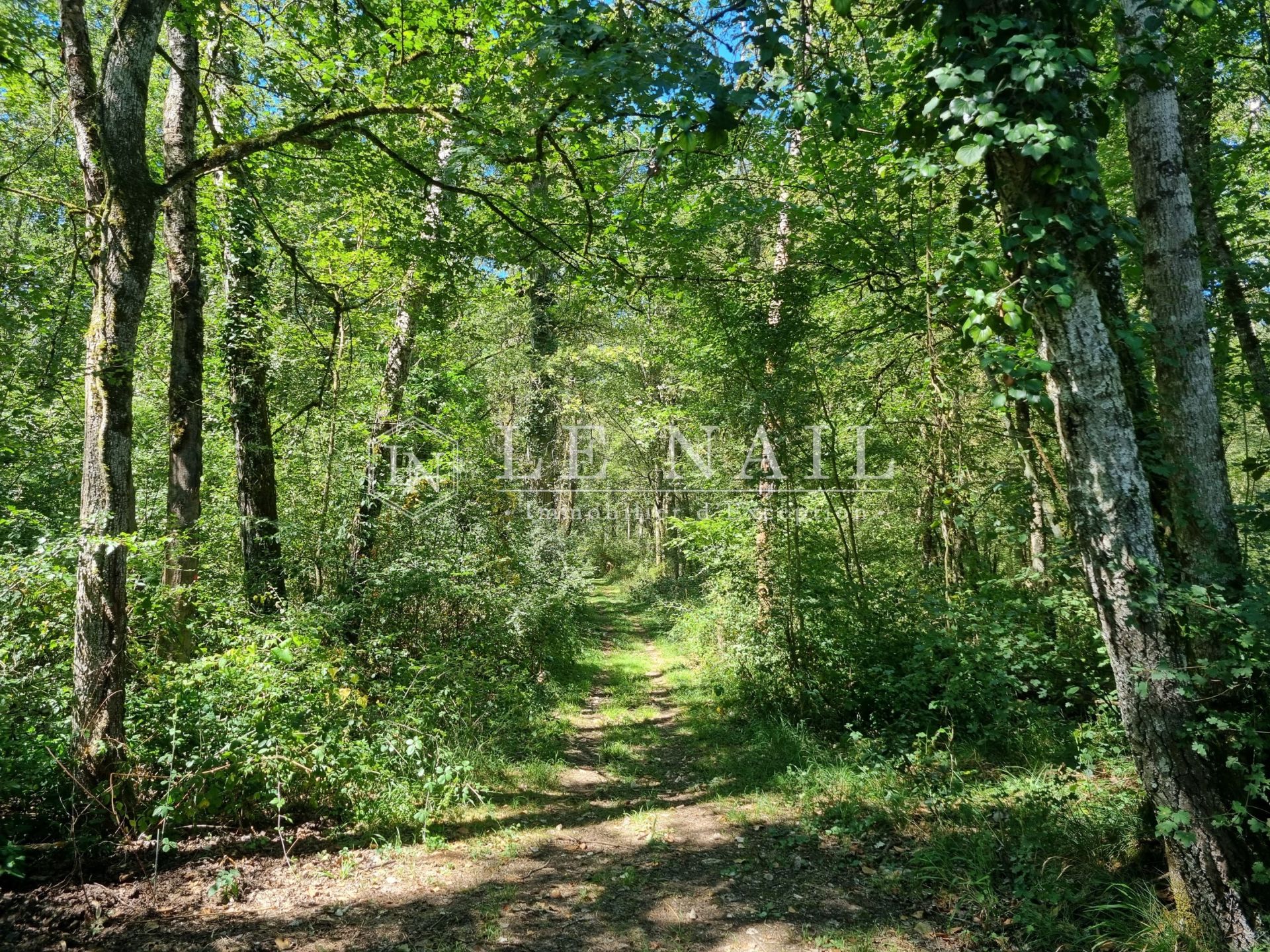 property 8 rooms for sale on VIERZON (18100)