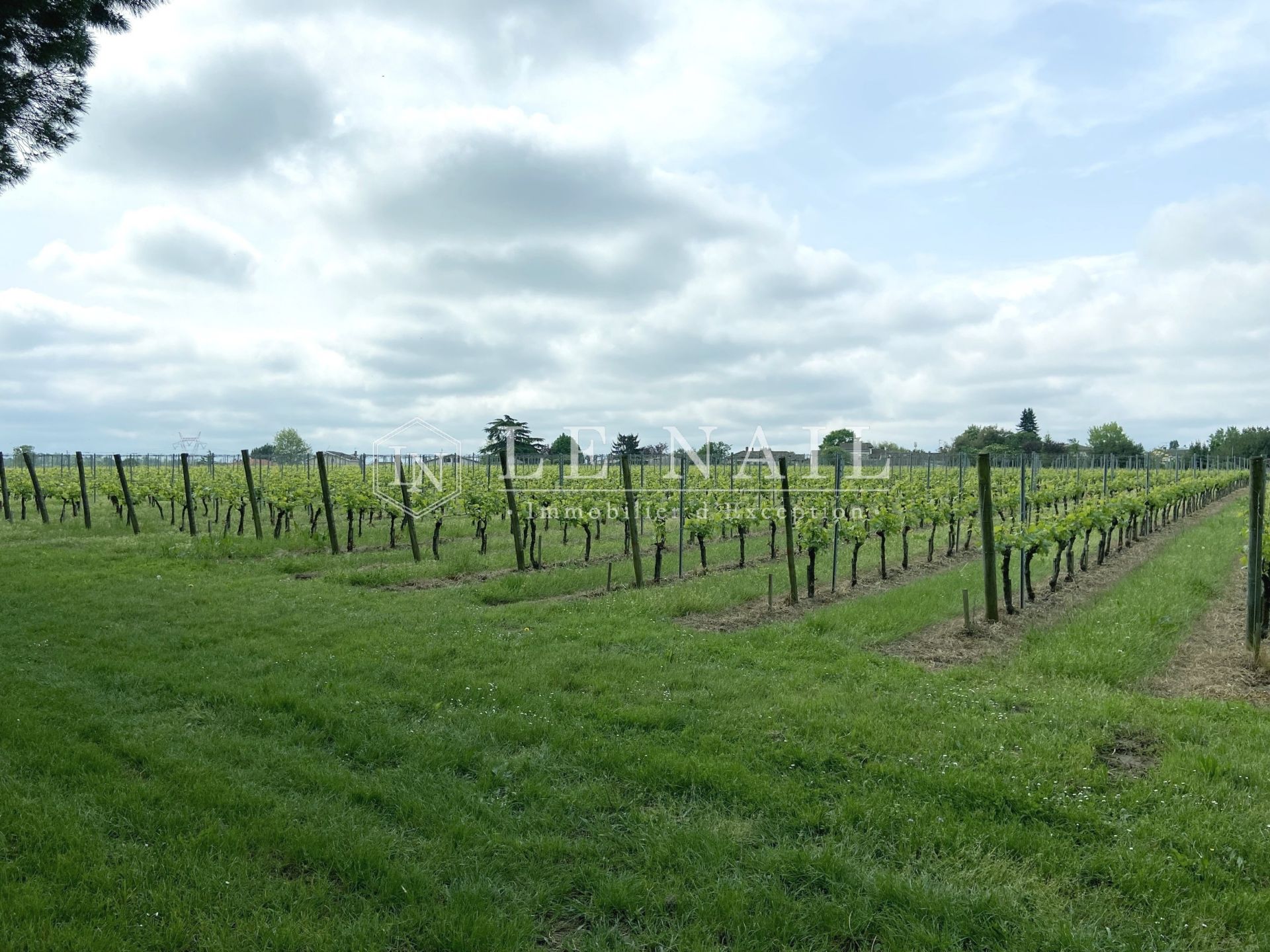 wine estate 14 rooms for sale on BORDEAUX (33000)
