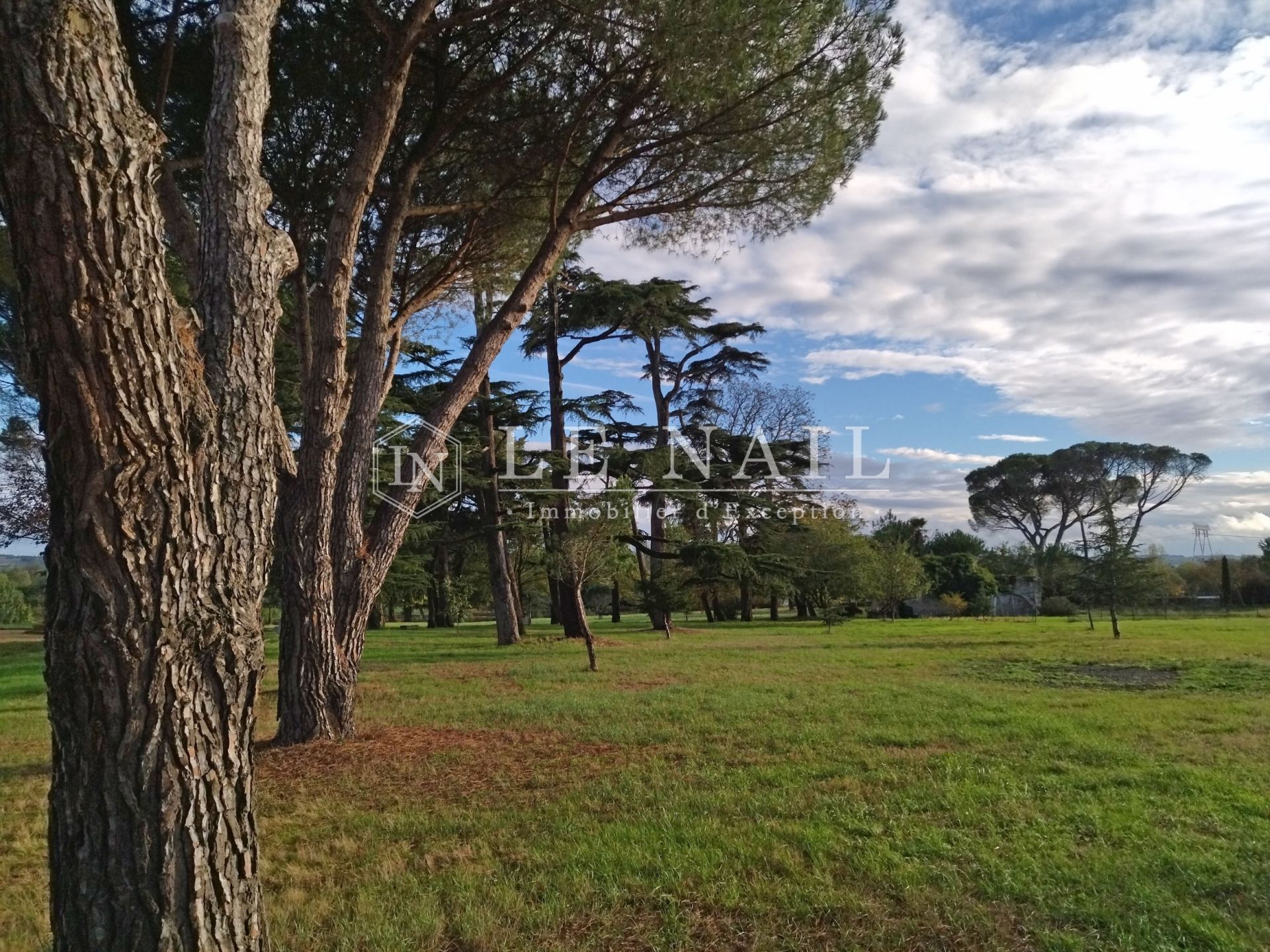 castle 21 rooms for sale on ANGERS (49100)