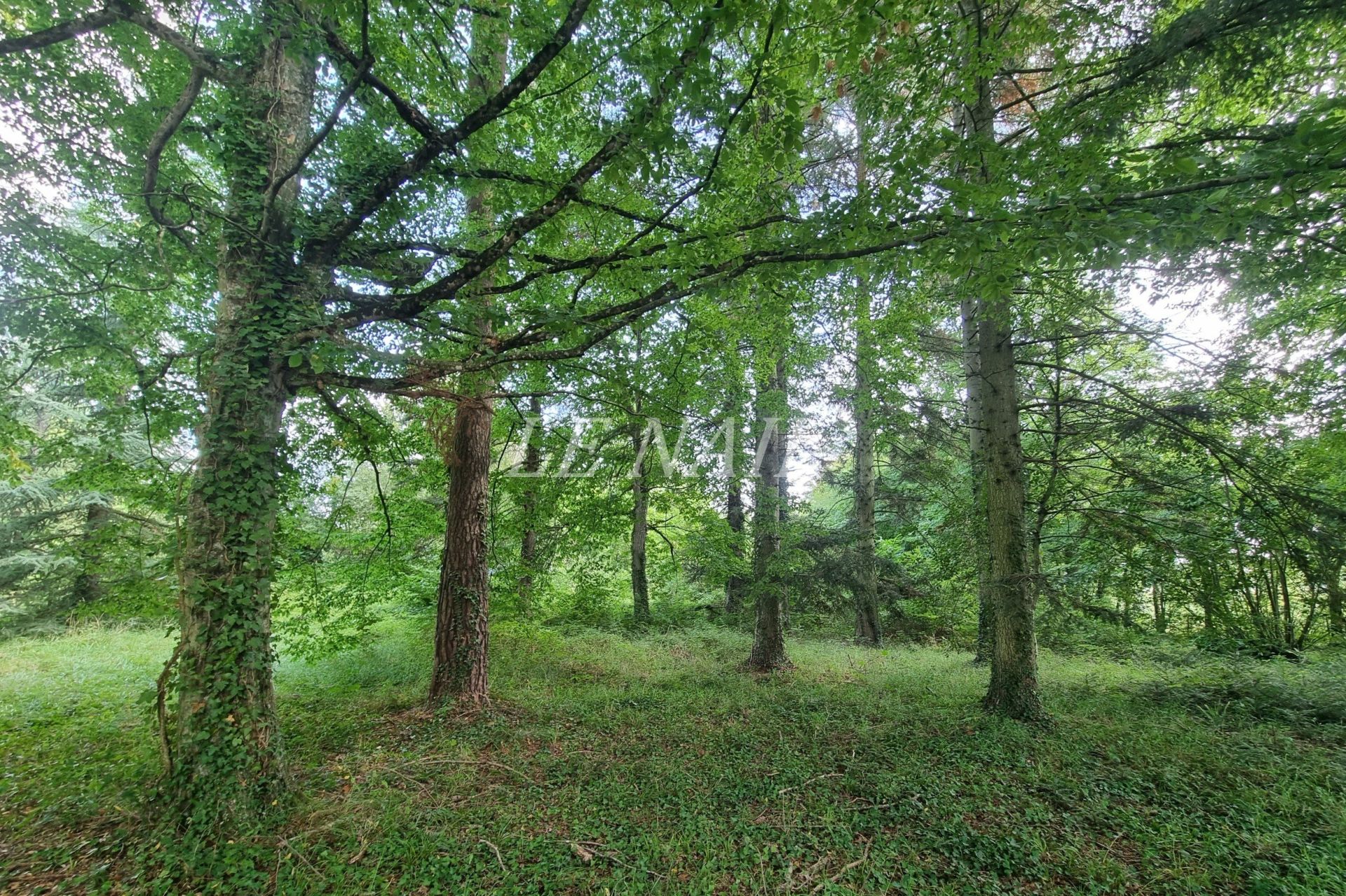 château 17 pièces en vente à LE MANS (72000)