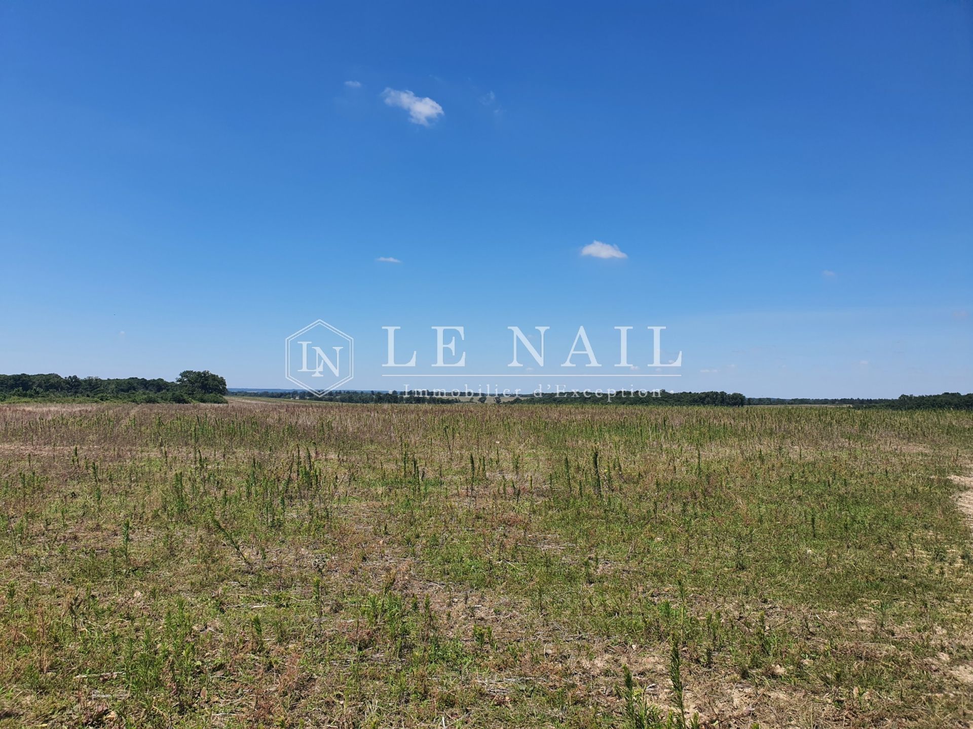 agricultural land for sale on POITIERS (86000)
