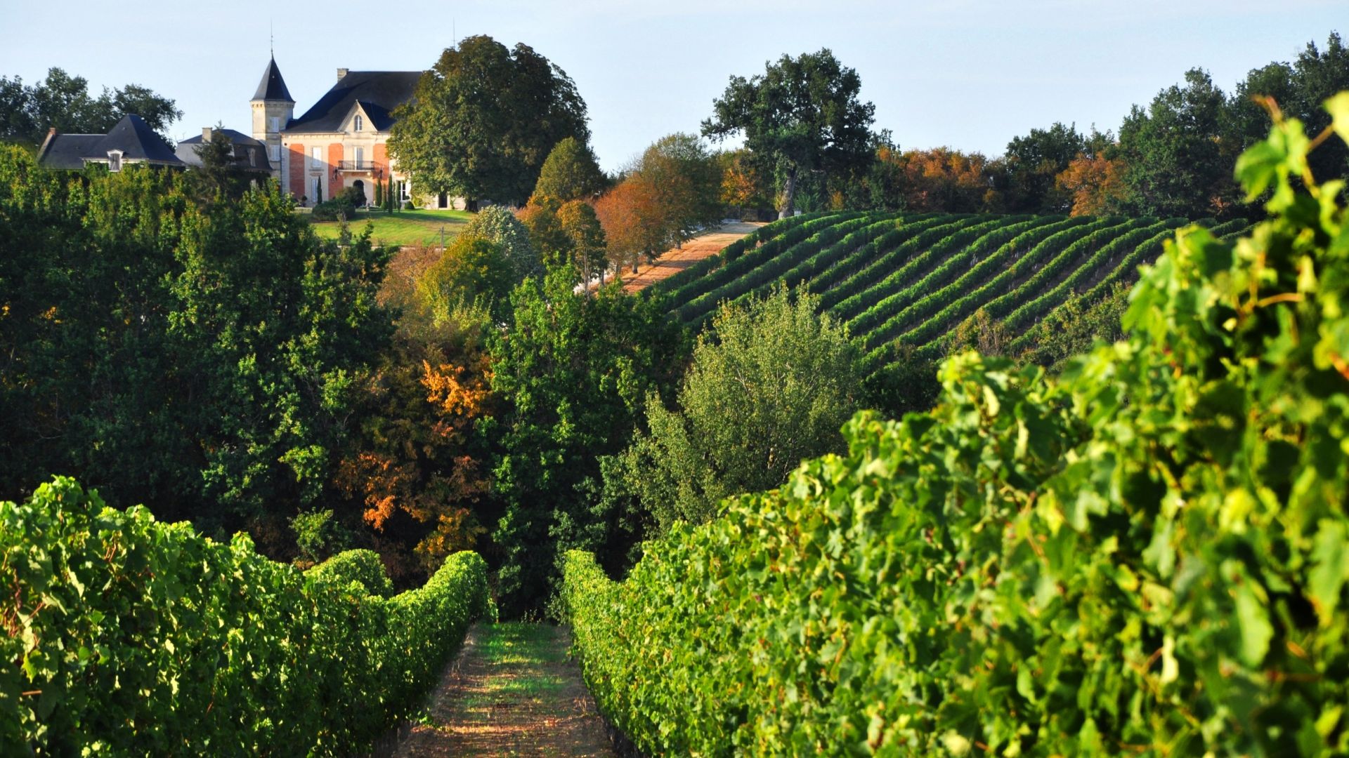 wine estate 13 rooms for sale on STE FOY LA GRANDE (33220)