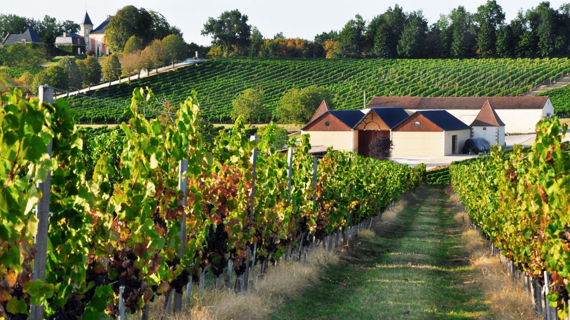 wine estate 13 rooms for sale on STE FOY LA GRANDE (33220)