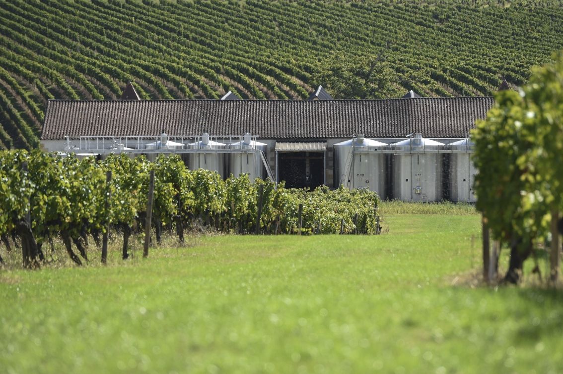 propriété viticole 13 pièces en vente à STE FOY LA GRANDE (33220)