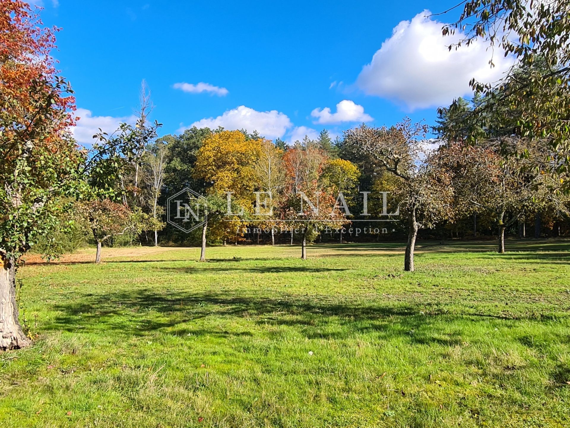propriété 30 pièces en vente à CHAMBORD (41250)
