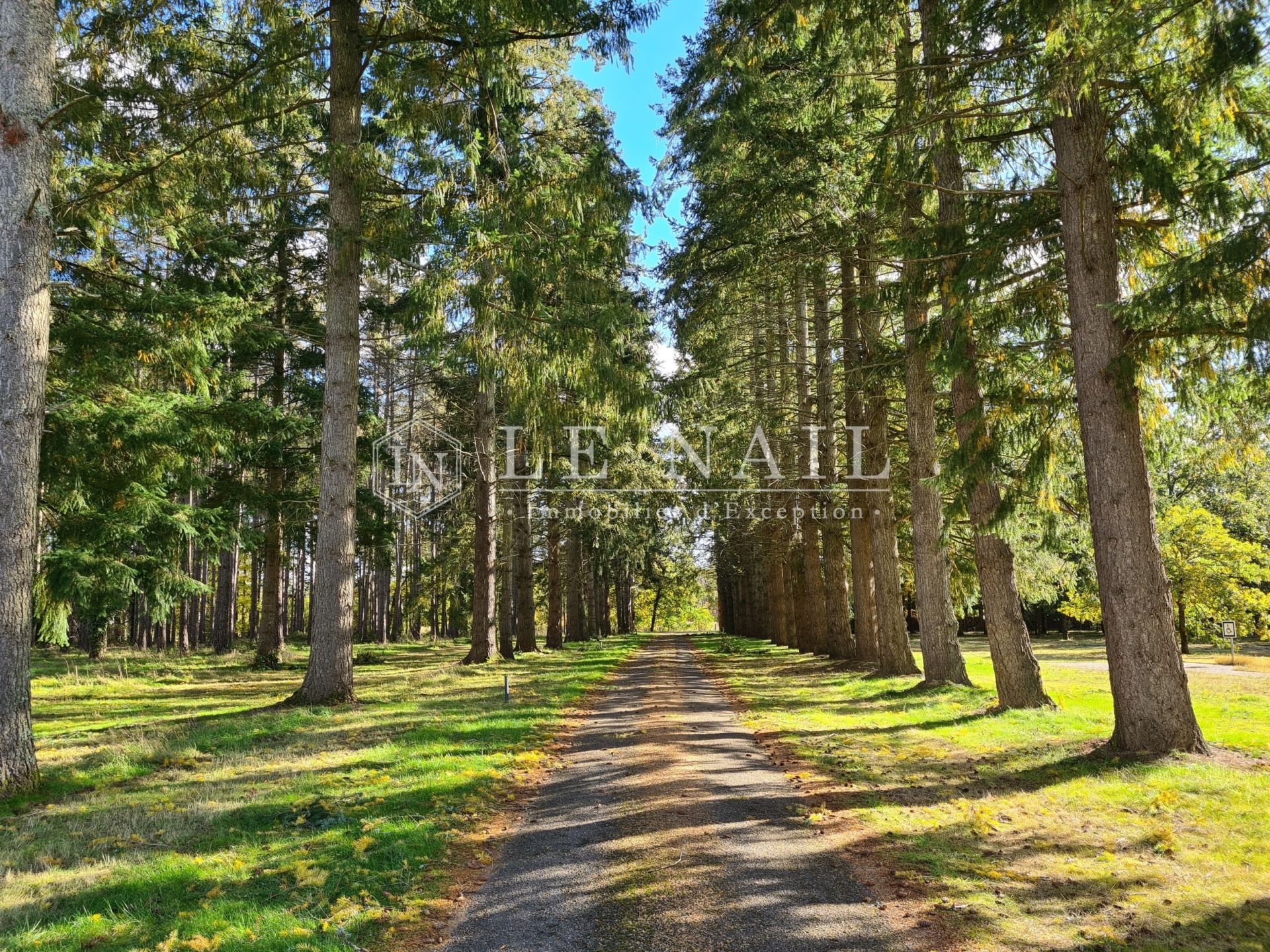 propriété 30 pièces en vente à CHAMBORD (41250)