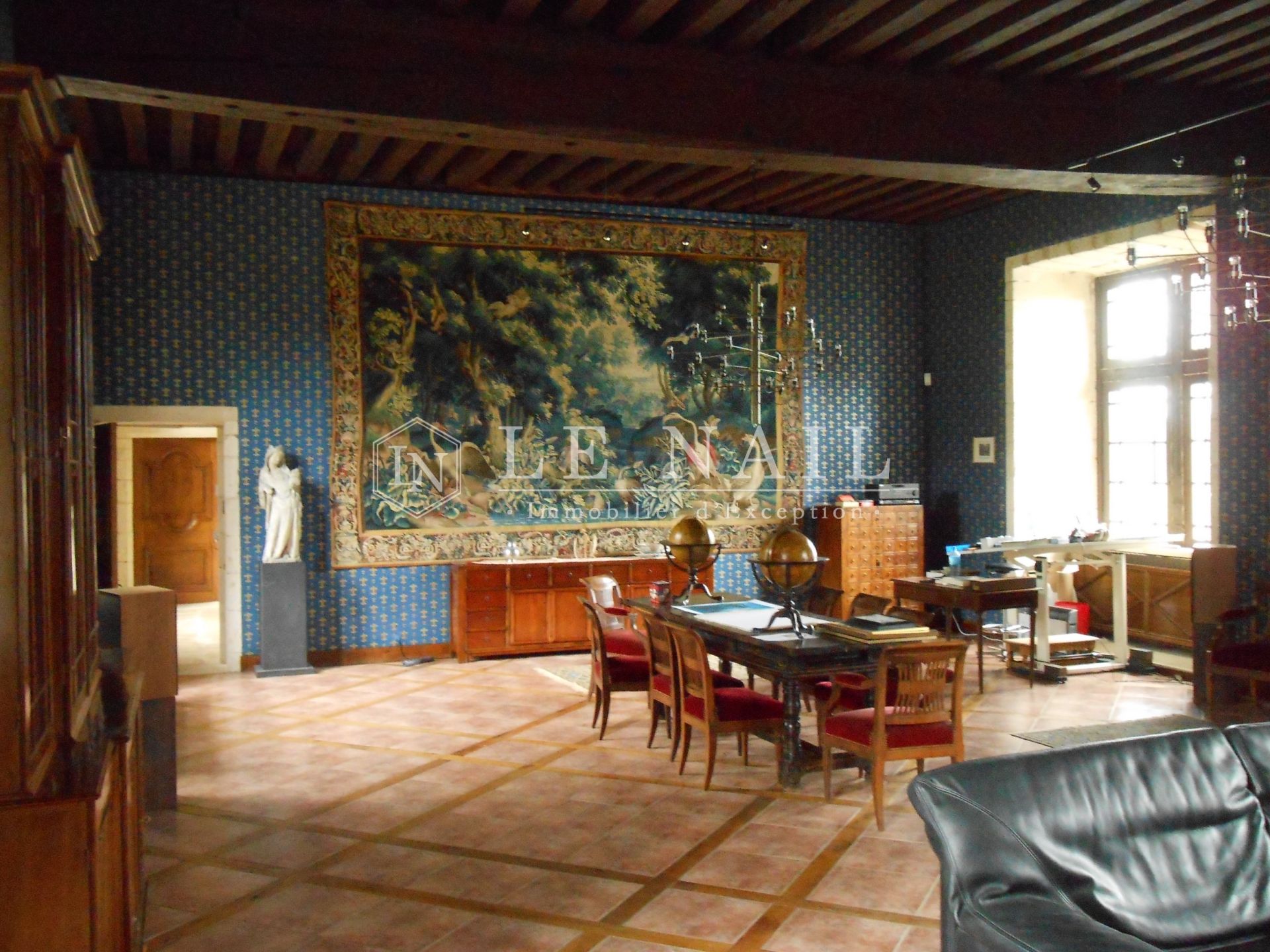 castle 17 rooms for sale on LE BLANC (36300)