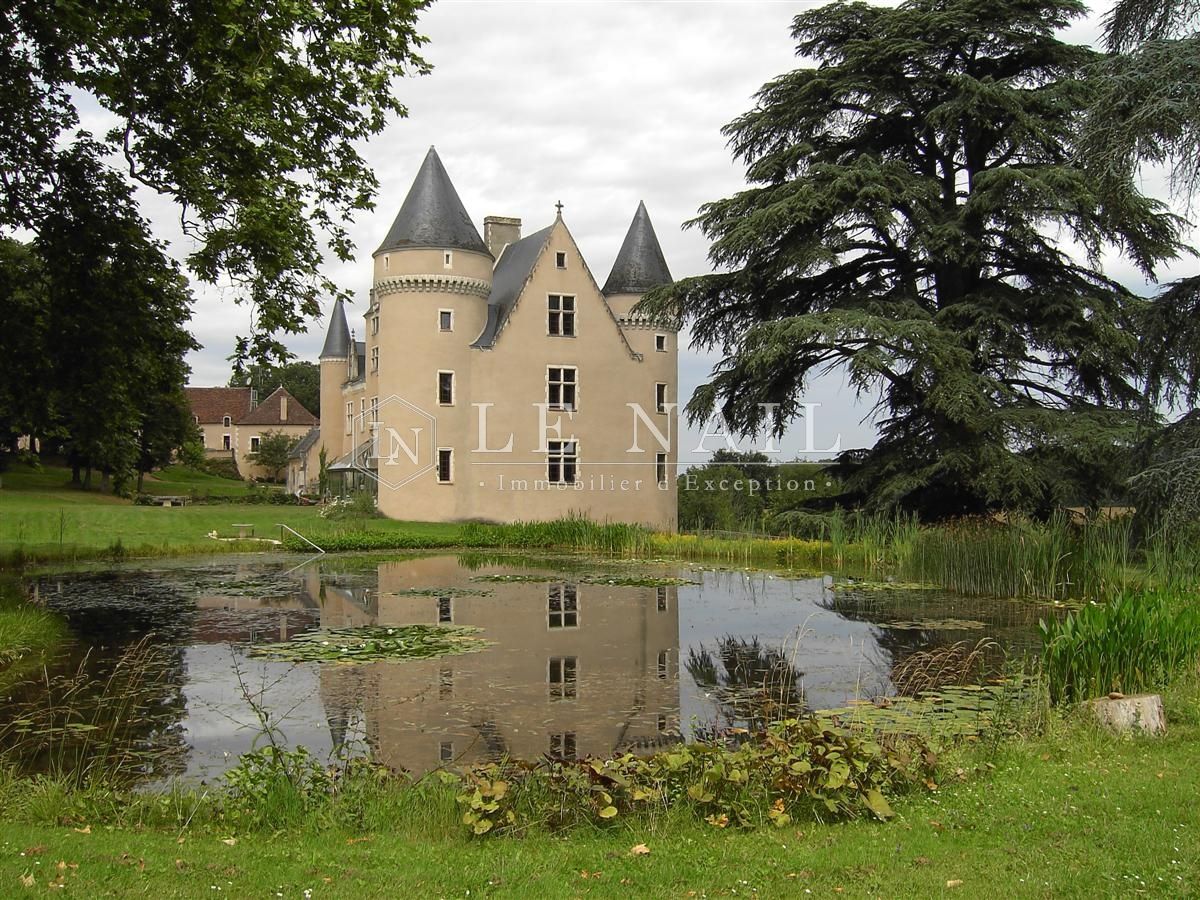 château 17 pièces en vente à LE BLANC (36300)
