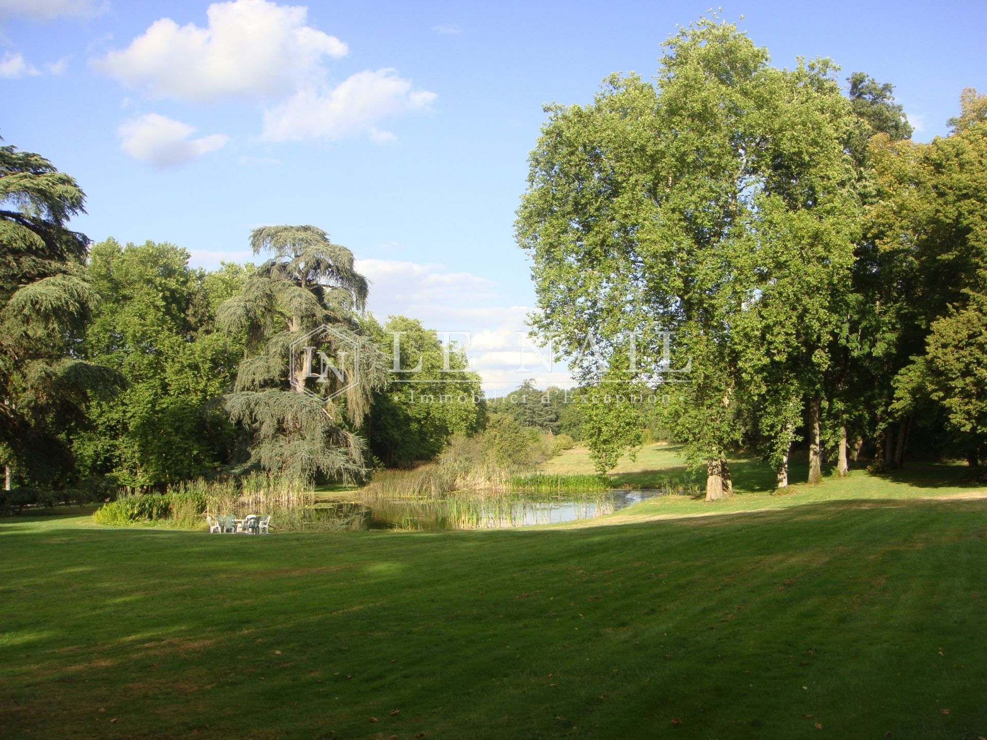 castle 17 rooms for sale on LE BLANC (36300)