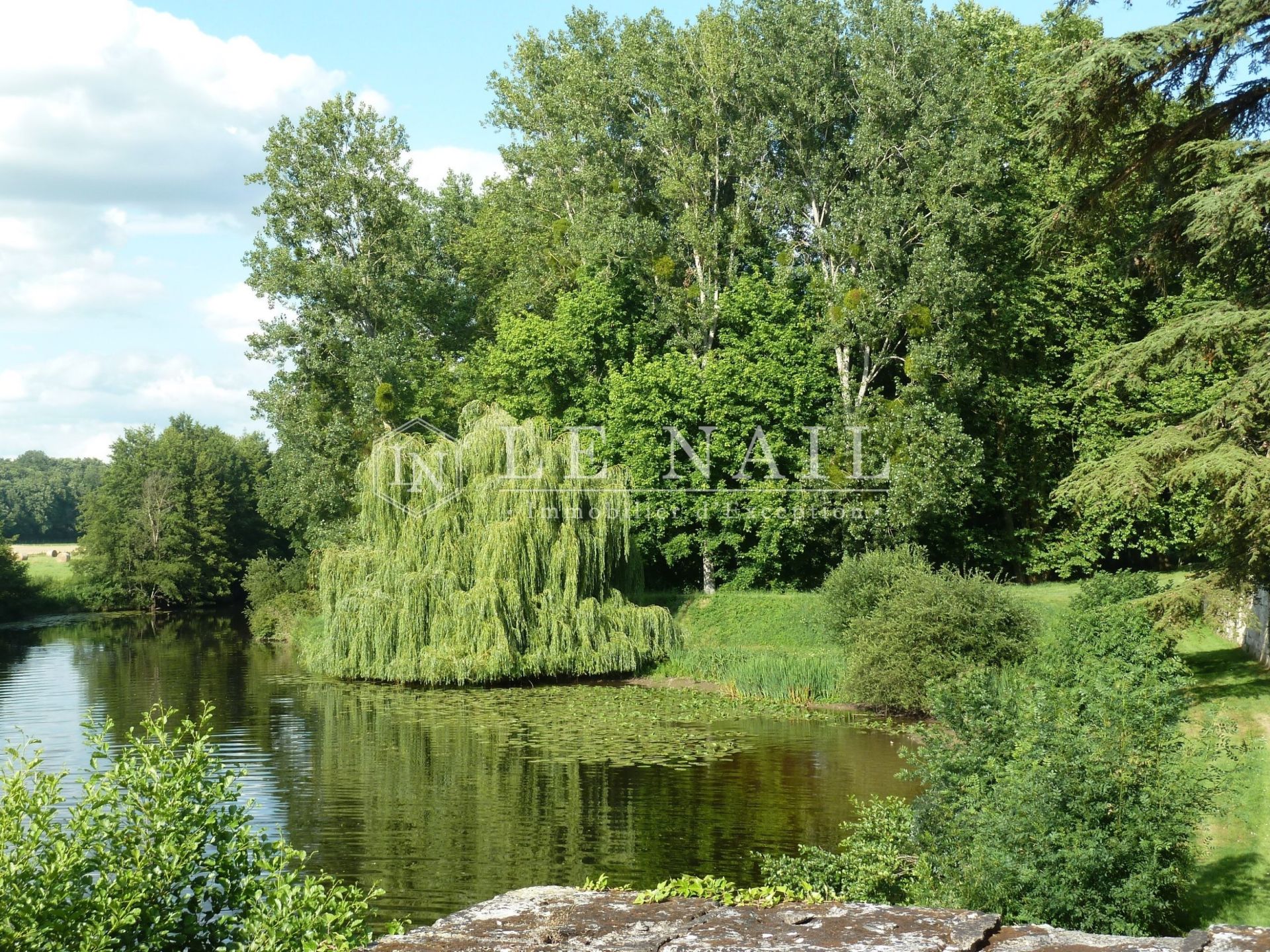château 17 pièces en vente à LE BLANC (36300)