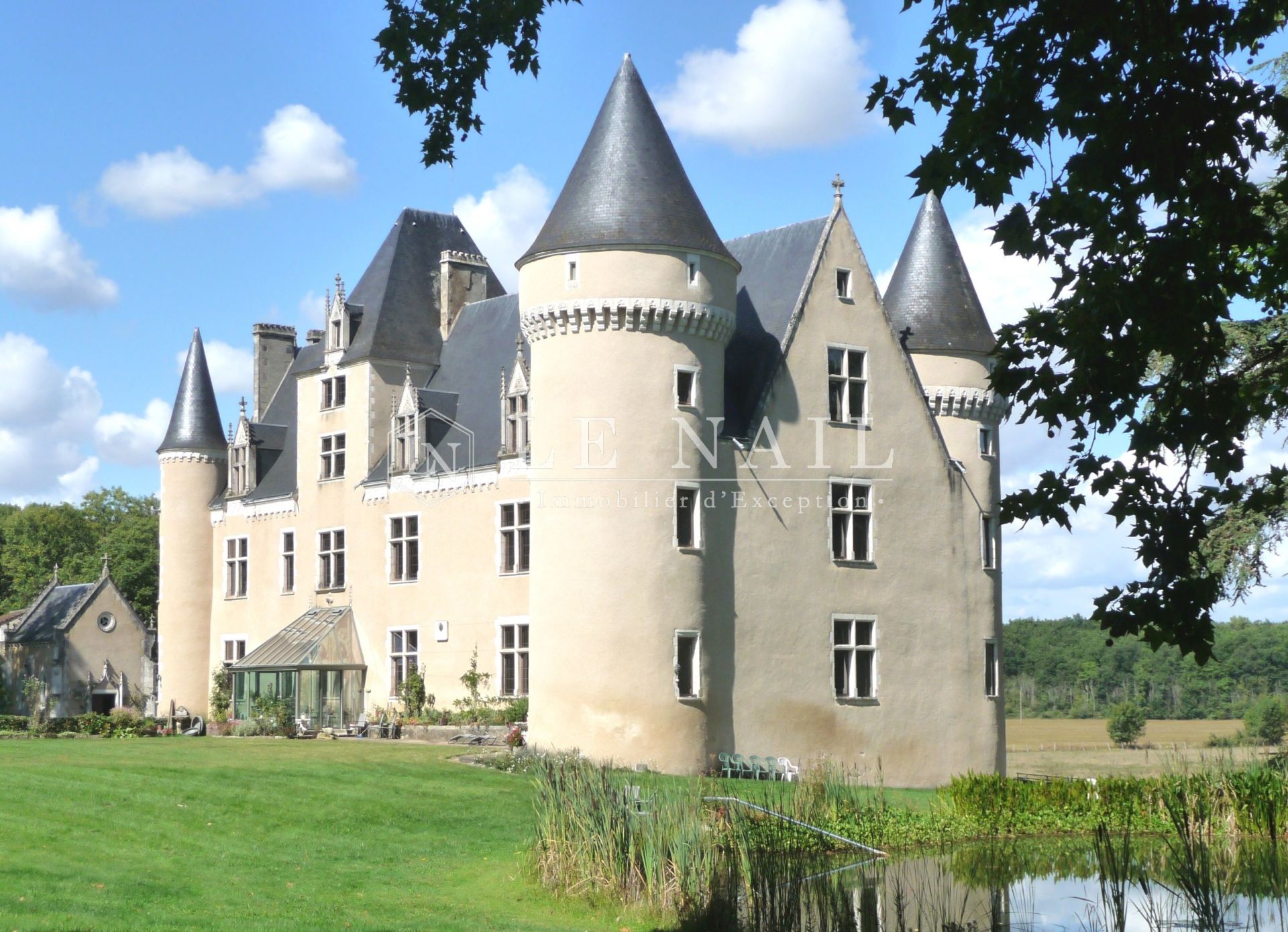 château 17 pièces en vente à LE BLANC (36300)
