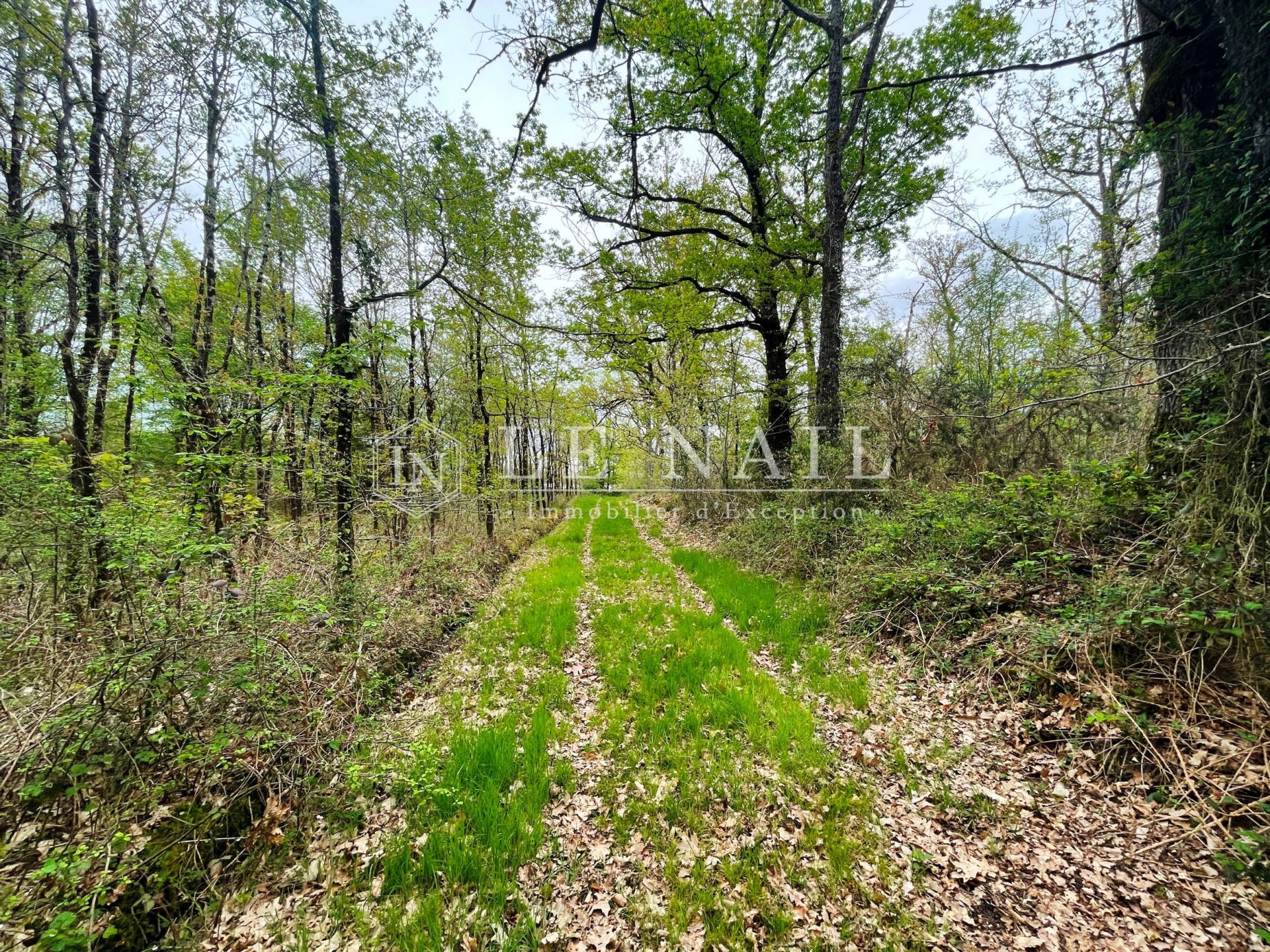 property 12 rooms for sale on CHATEAUROUX (36000)
