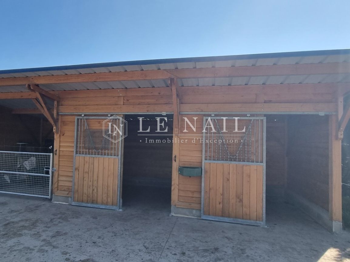 château 8 pièces en vente à CHINON (37500)