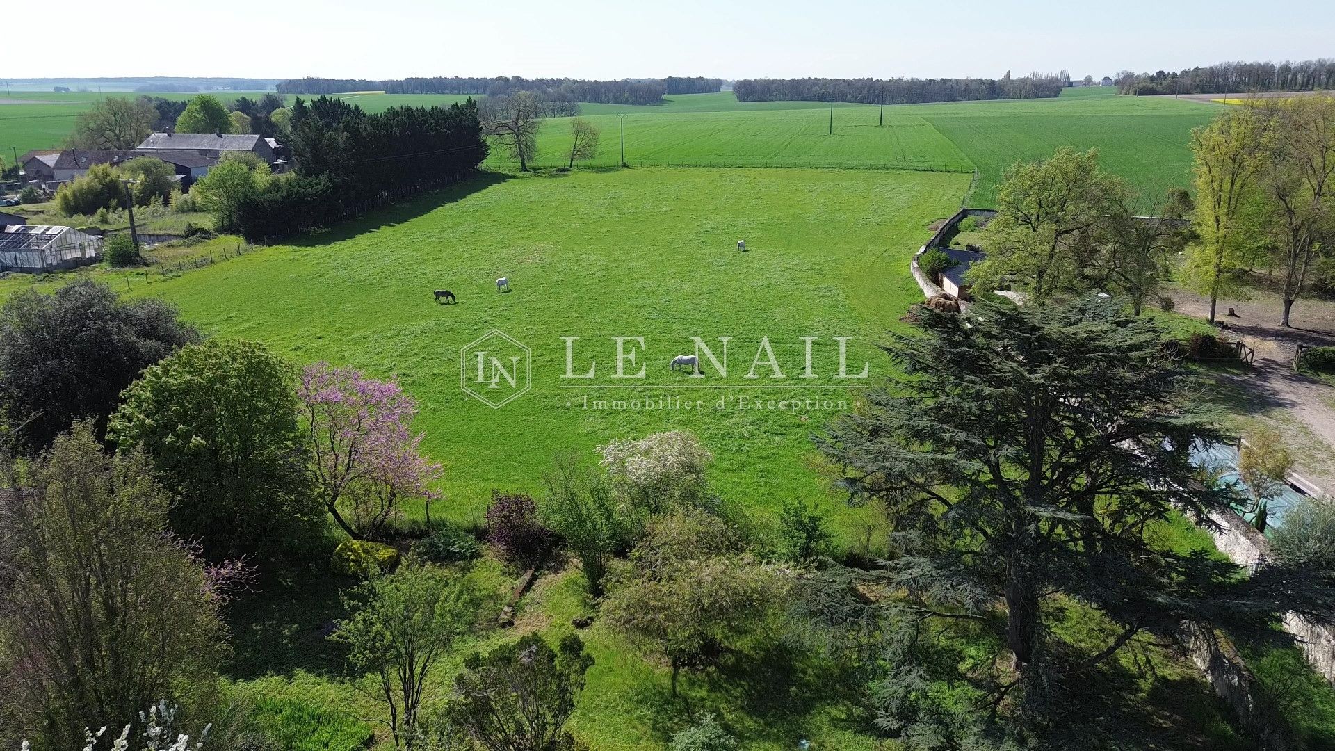 château 8 pièces en vente à CHINON (37500)