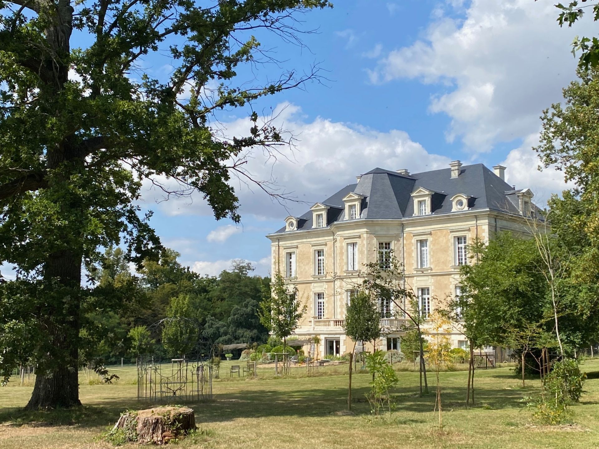 castle 26 rooms for sale on CHATEAUNEUF SUR SARTHE (49330) - See details