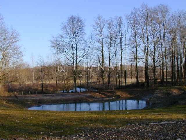 propriété 14 pièces en vente à MONTARGIS (45200)