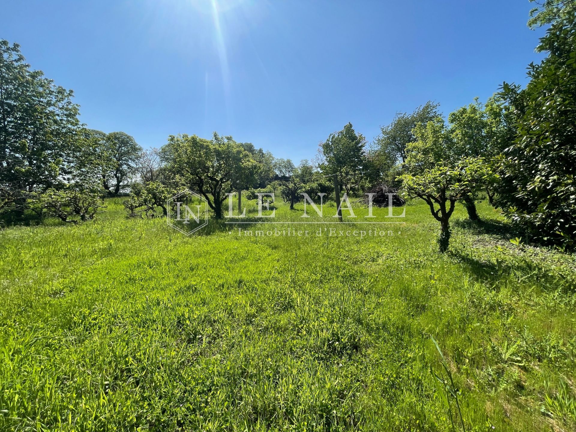 propriété 10 pièces en vente à LA CHATAIGNERAIE (85120)