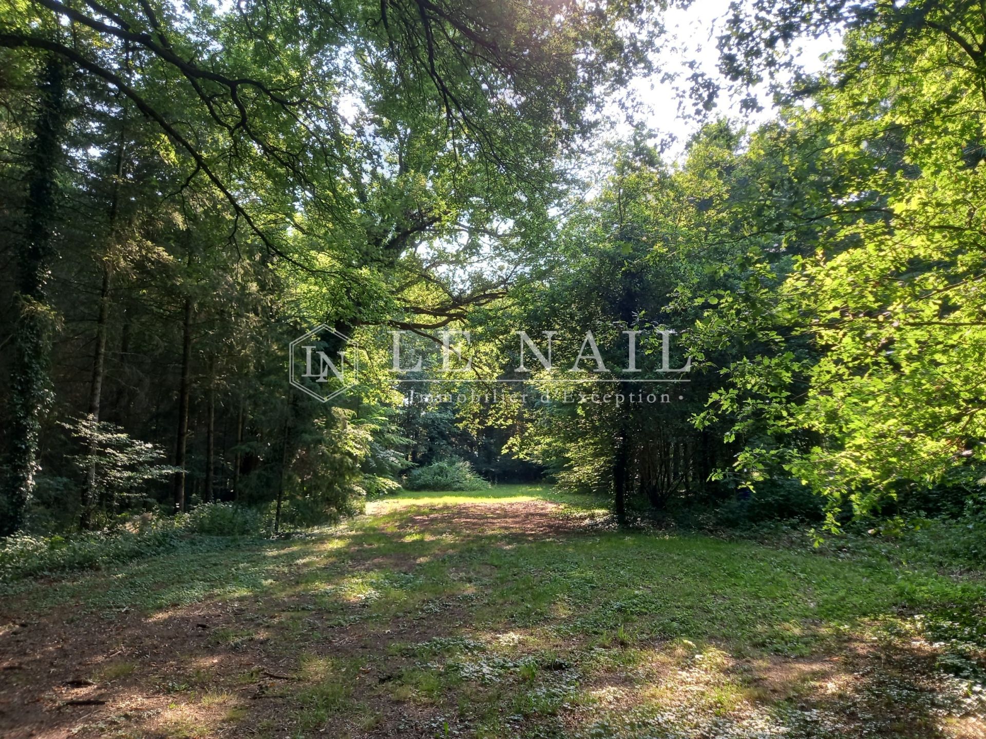 manoir 25 pièces en vente à GUER (56380)