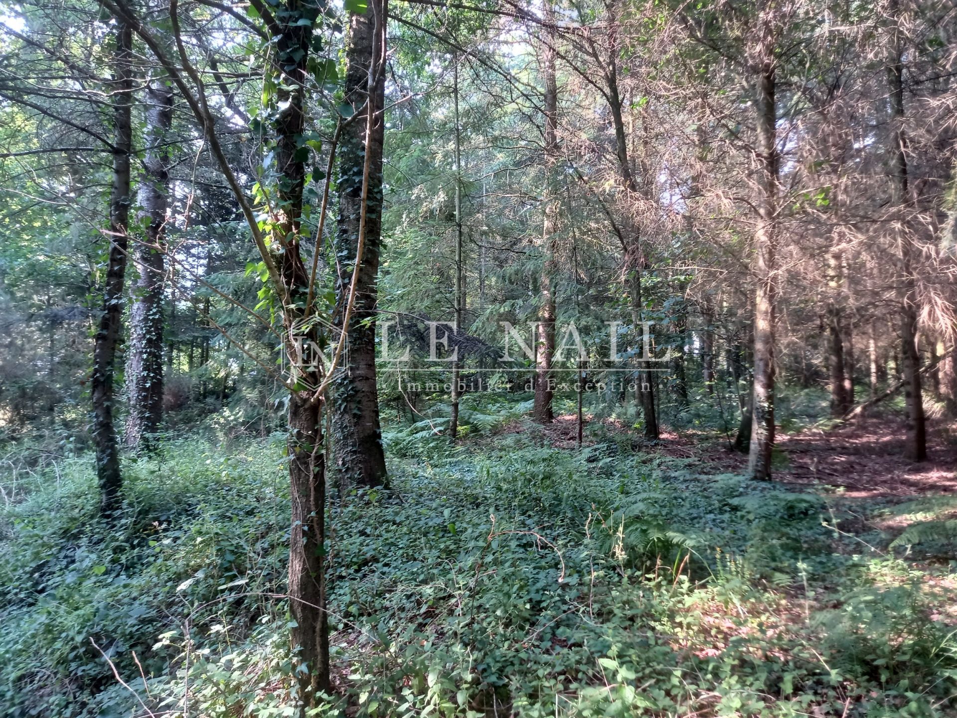 manor house 25 rooms for sale on GUER (56380)