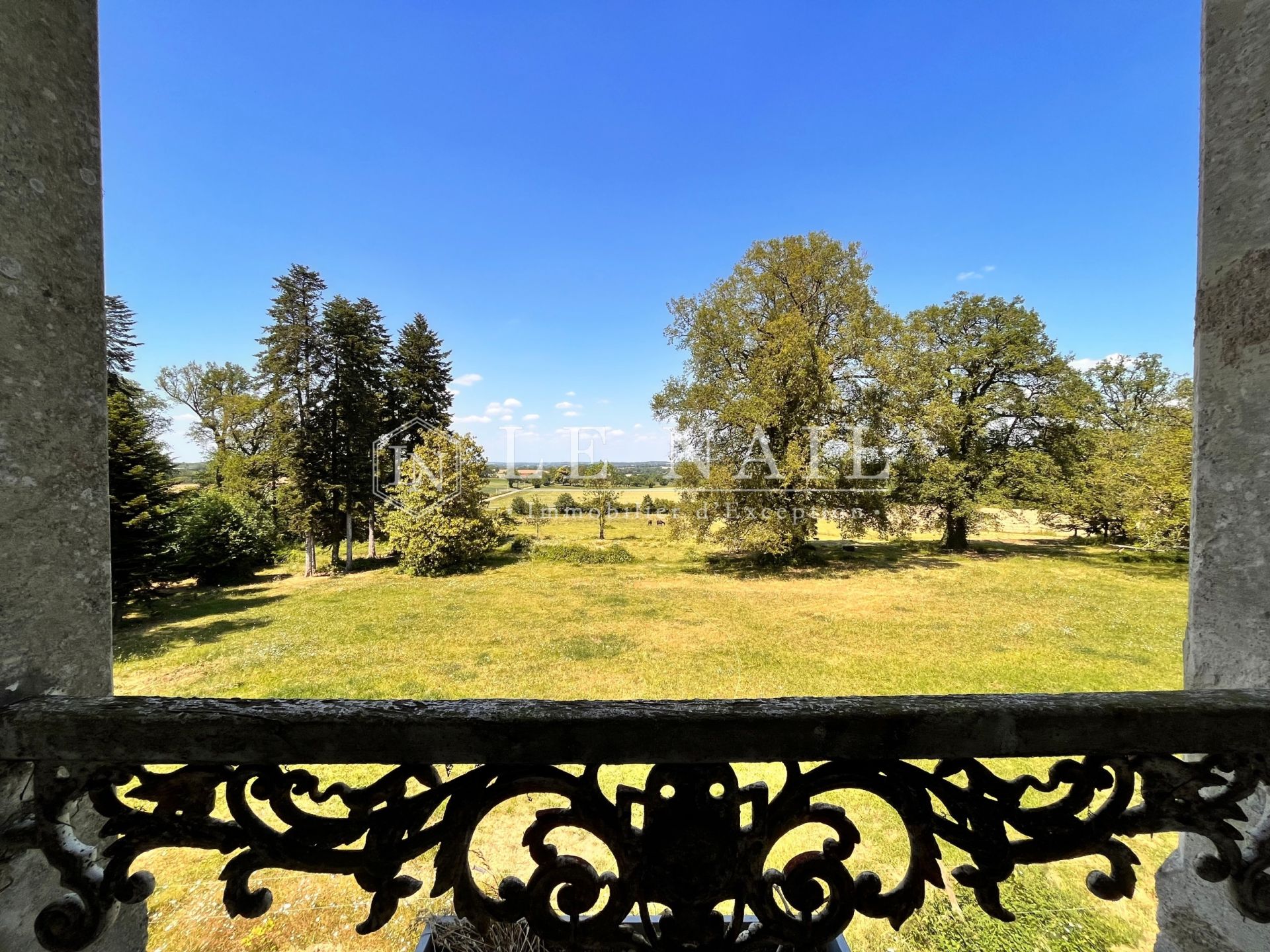 château 10 pièces en vente à POUZAUGES (85700)