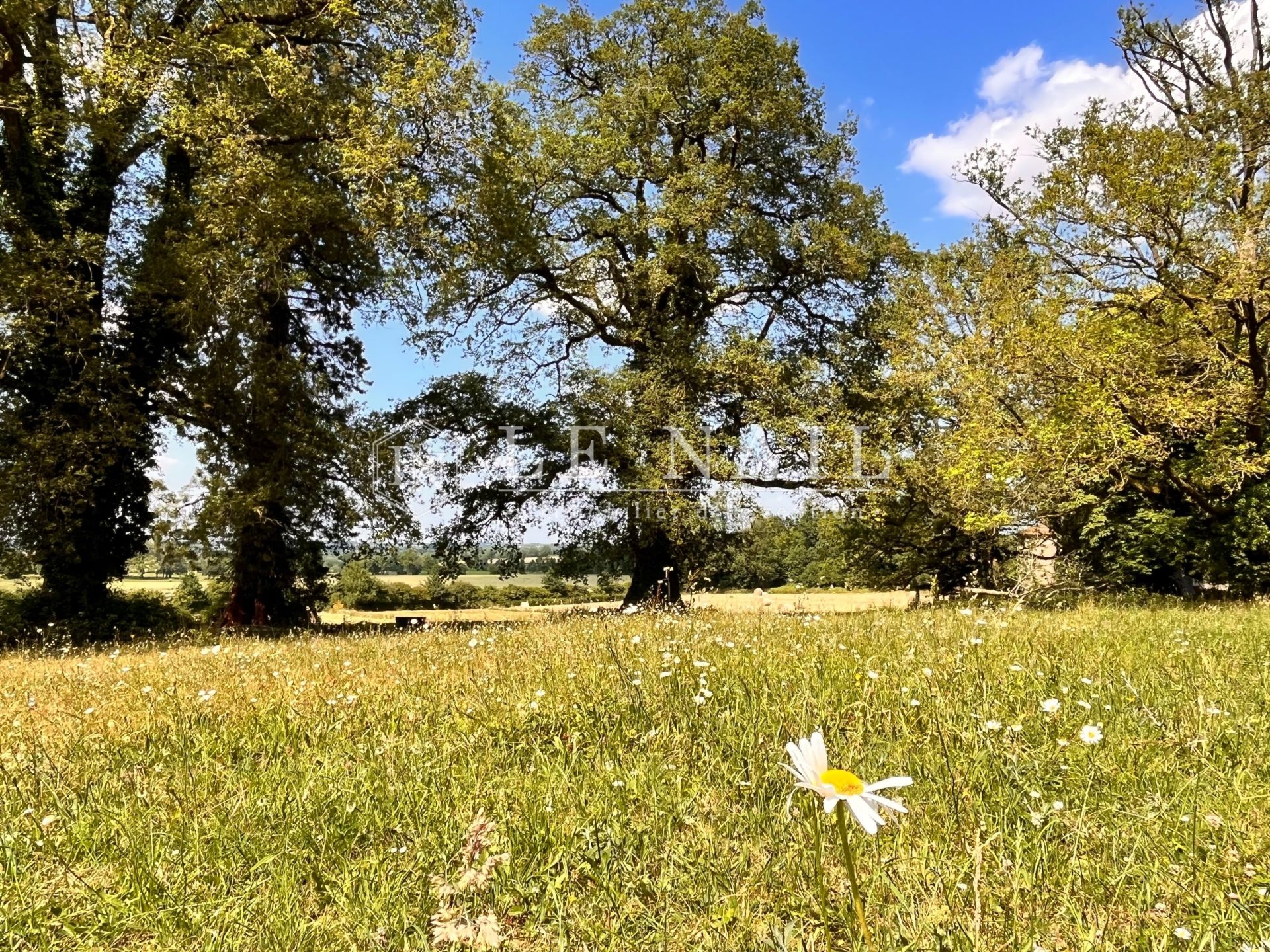 château 10 pièces en vente à POUZAUGES (85700)