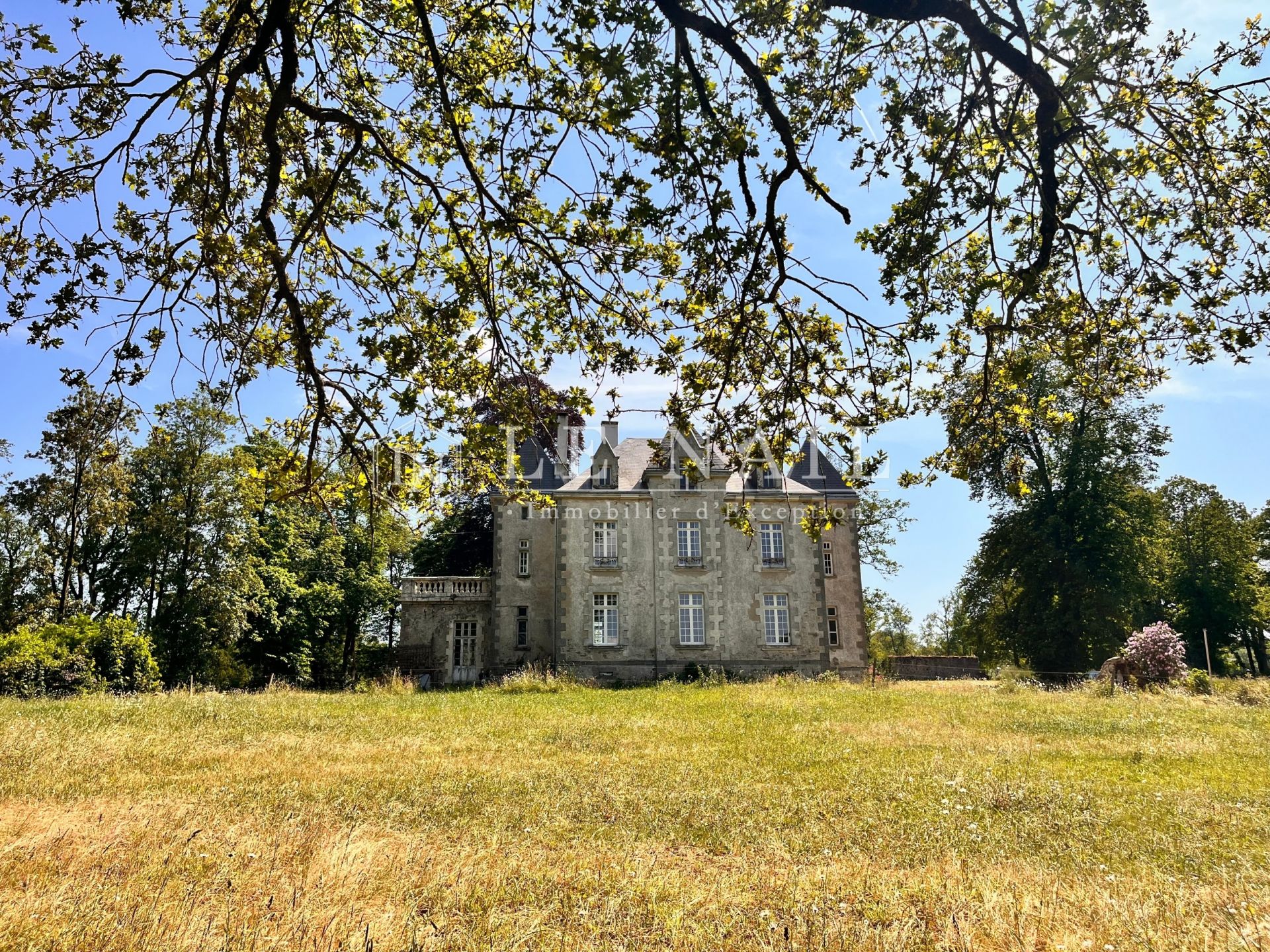 château 10 pièces en vente à POUZAUGES (85700)