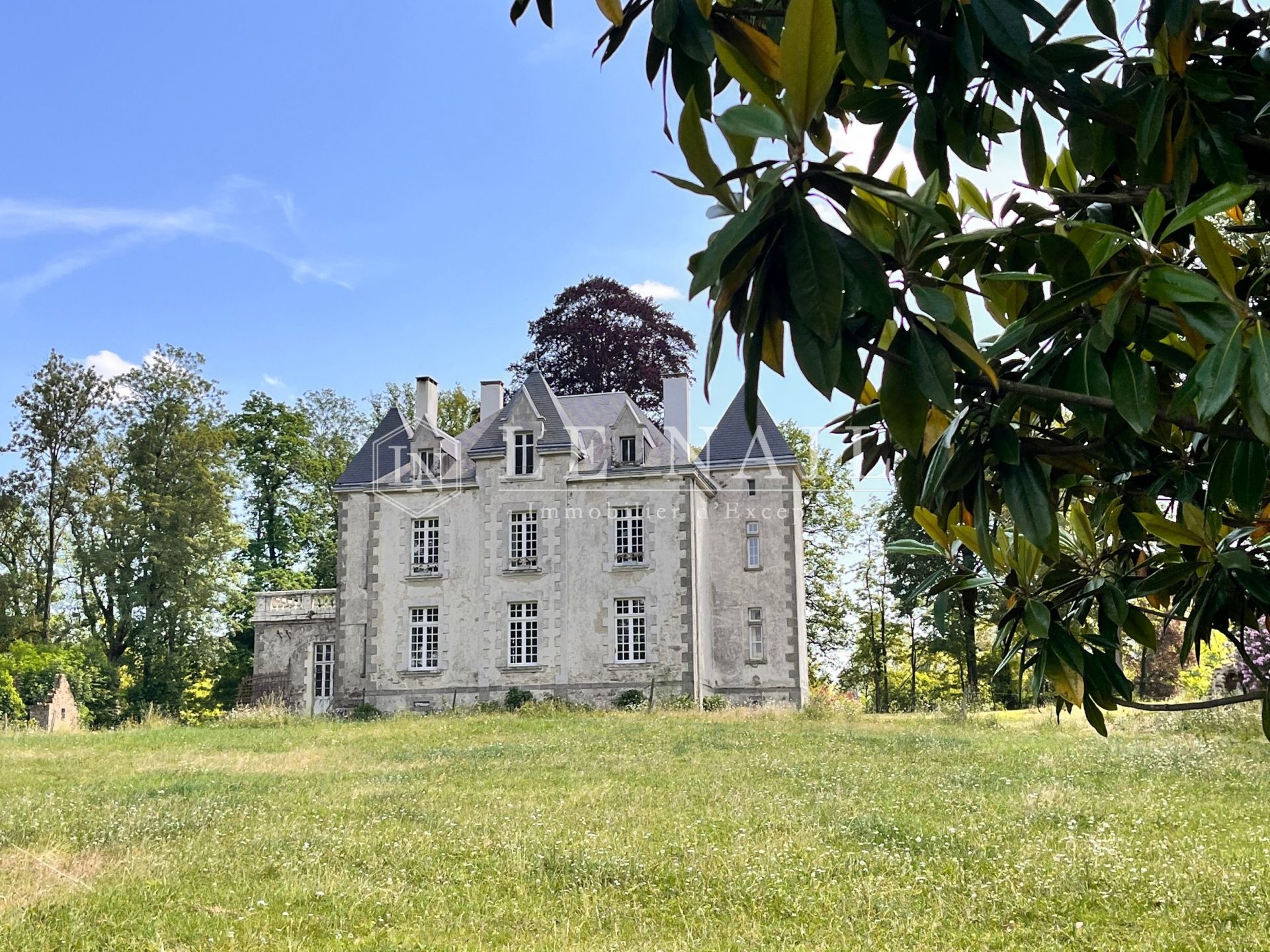 castle 10 rooms for sale on POUZAUGES (85700)