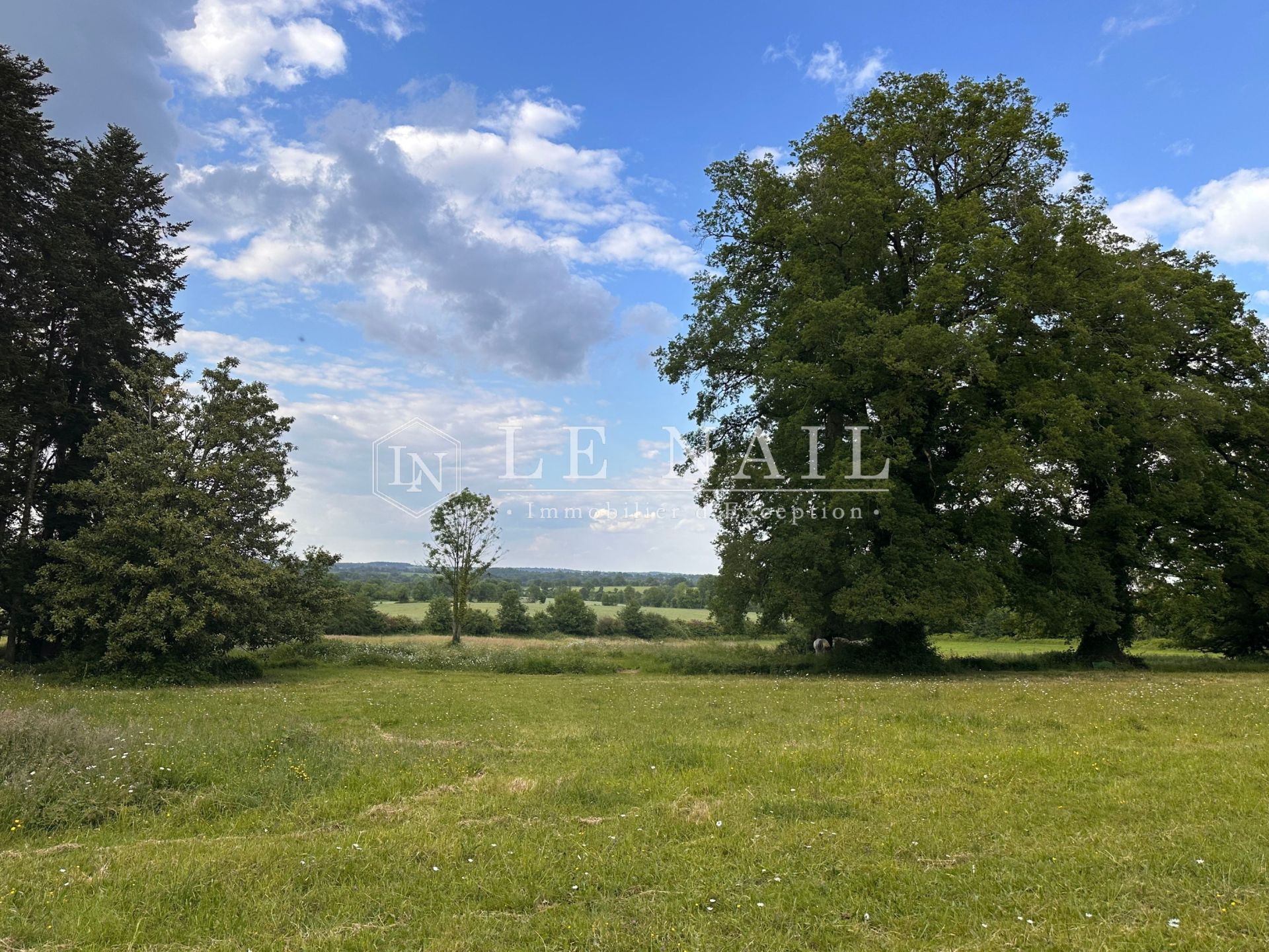 castle 10 rooms for sale on POUZAUGES (85700)