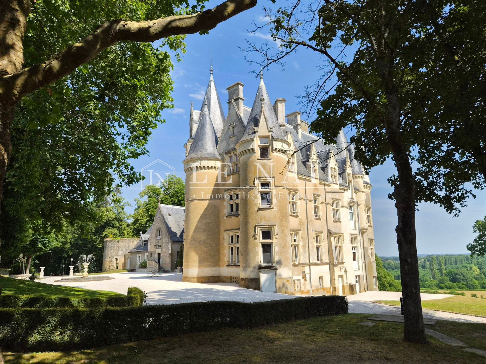 castle 23 rooms for sale on CHATEAU DU LOIR (72500)