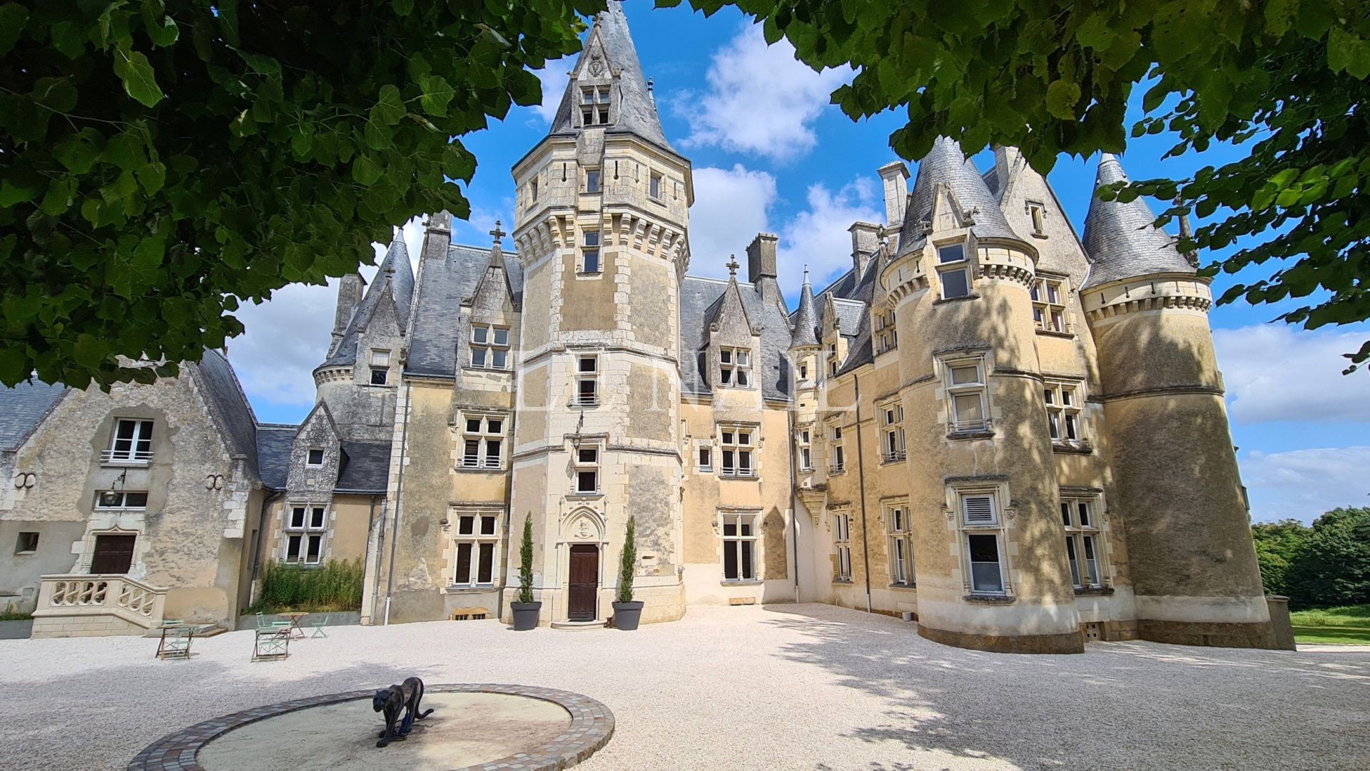 château 23 pièces en vente à CHATEAU DU LOIR (72500)