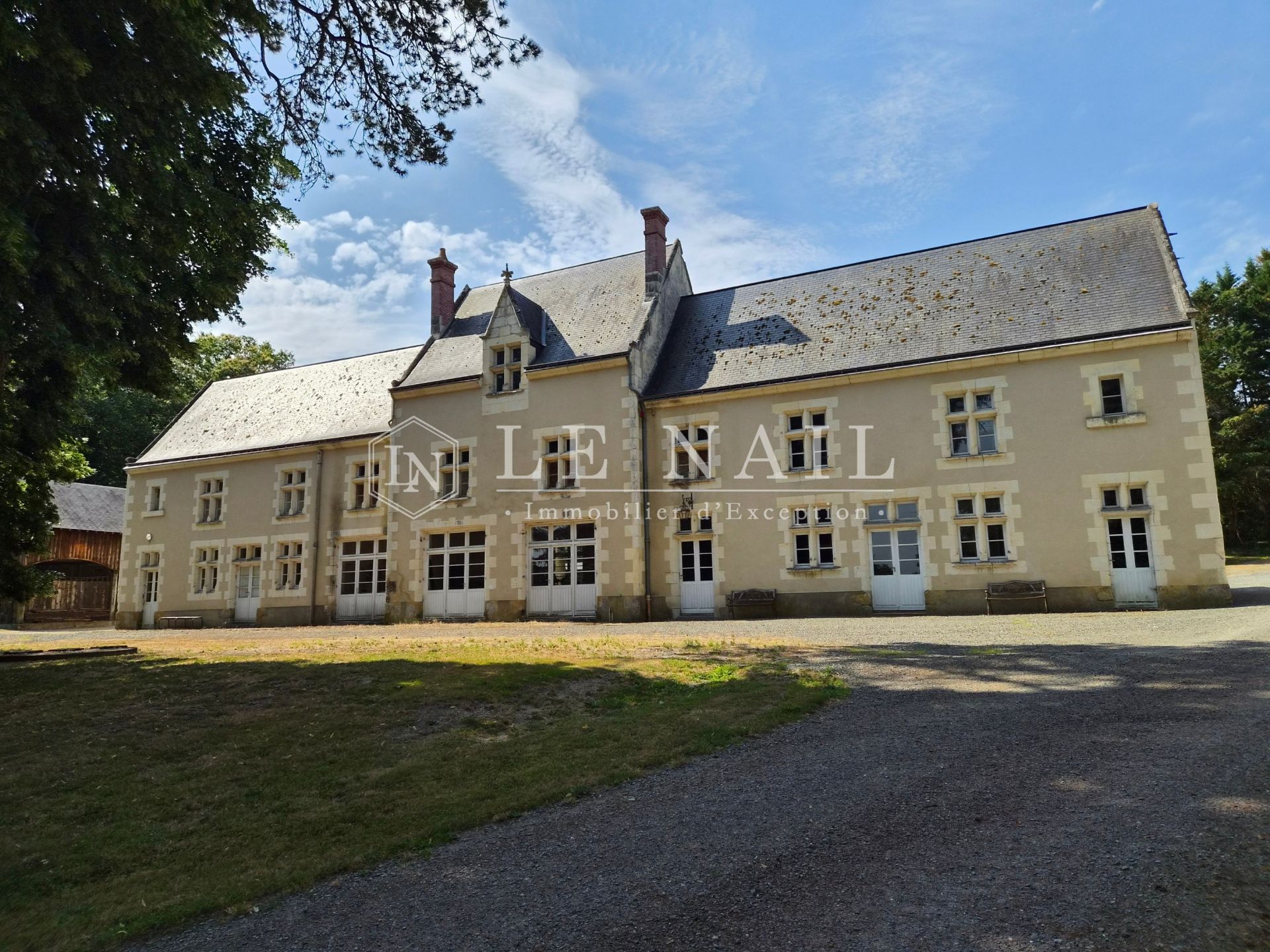 castle 23 rooms for sale on CHATEAU DU LOIR (72500)