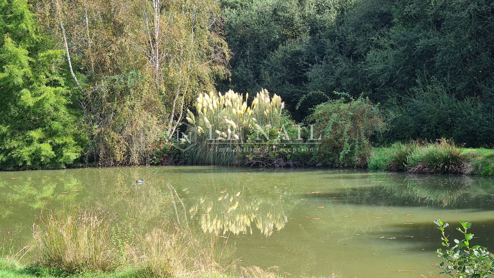 manor house 8 rooms for sale on ST HILAIRE DU HARCOUET (50600)