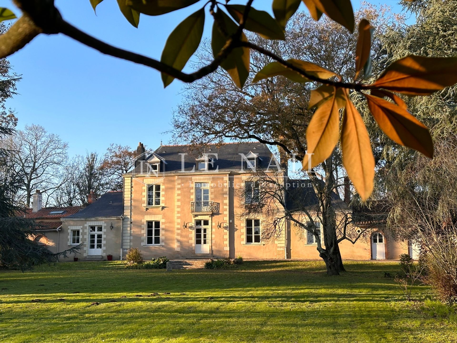 mansion 10 rooms for sale on THOUARE SUR LOIRE (44470)