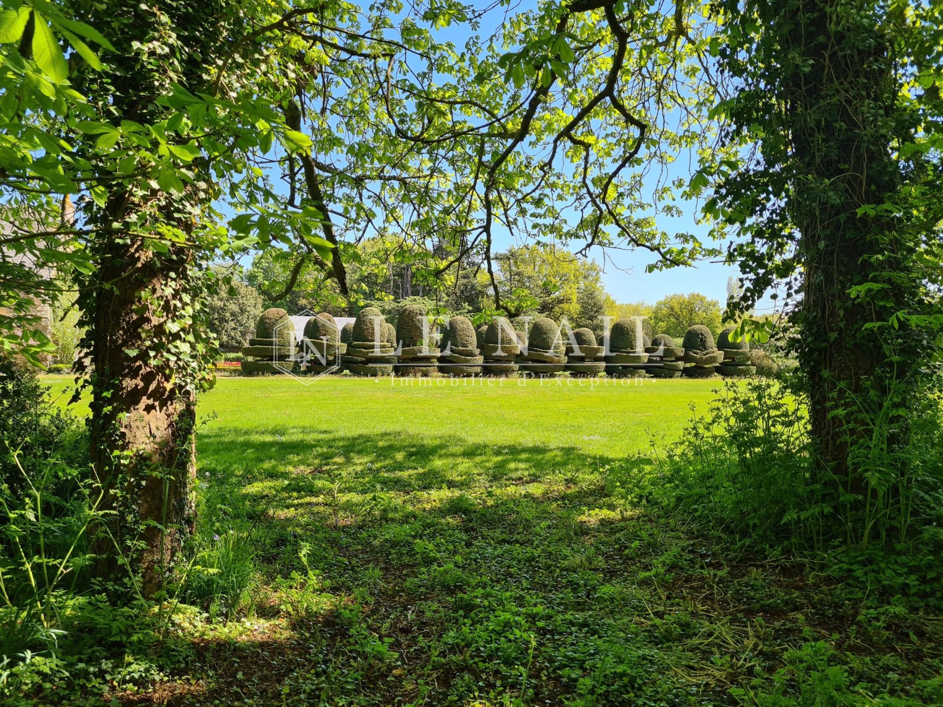 manoir 16 pièces en vente à CHATEAU GONTIER (53200)